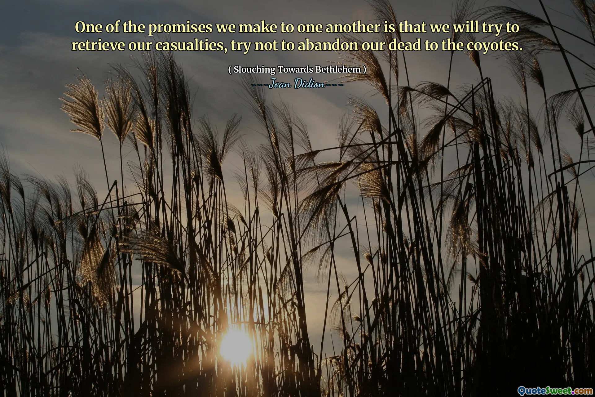 Et av løftene vi gir hverandre er at vi vil prøve å hente skadene våre, prøve å ikke forlate våre døde til coyotene.