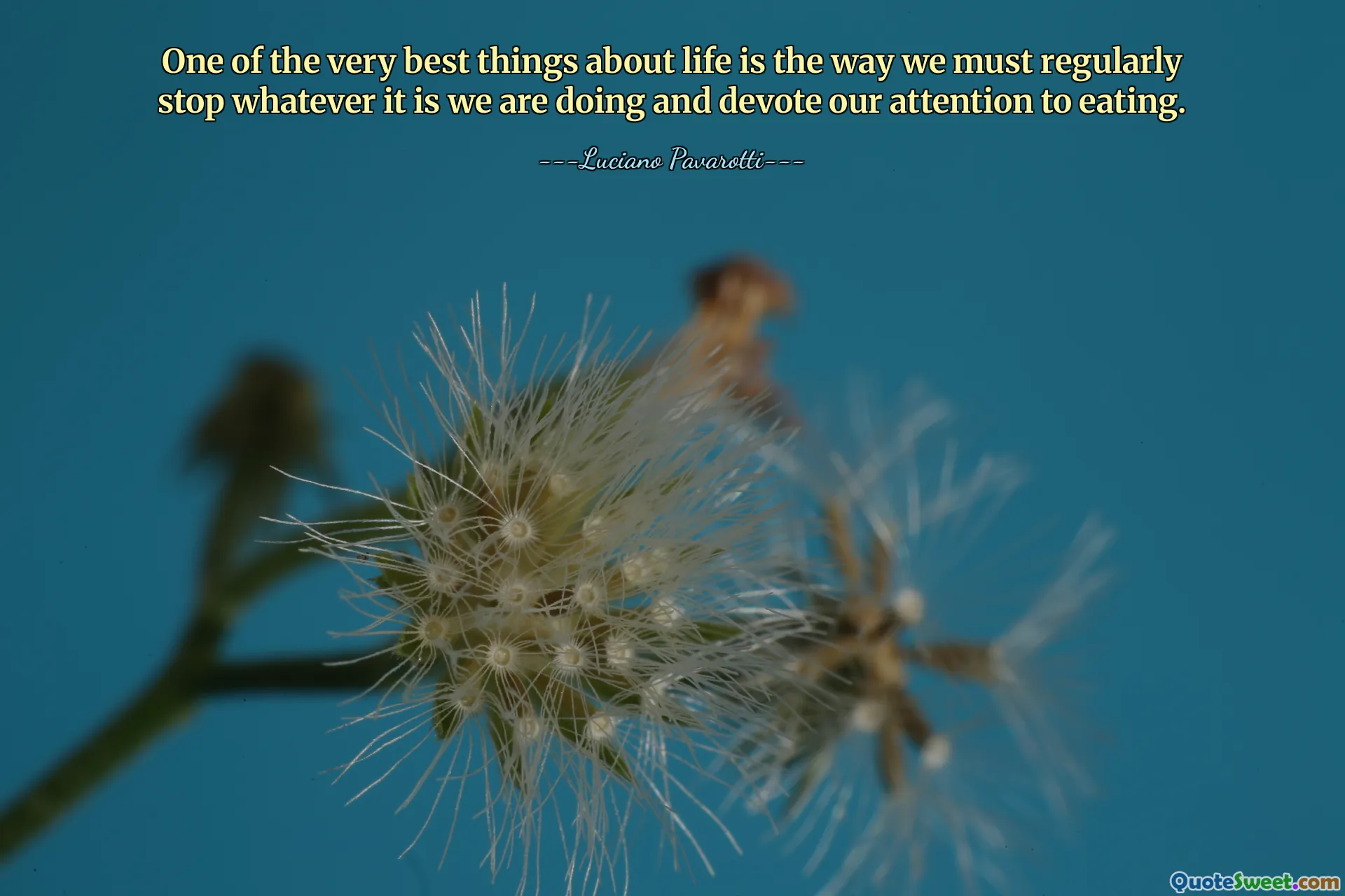 One of the very best things about life is the way we must regularly stop whatever it is we are doing and devote our attention to eating.