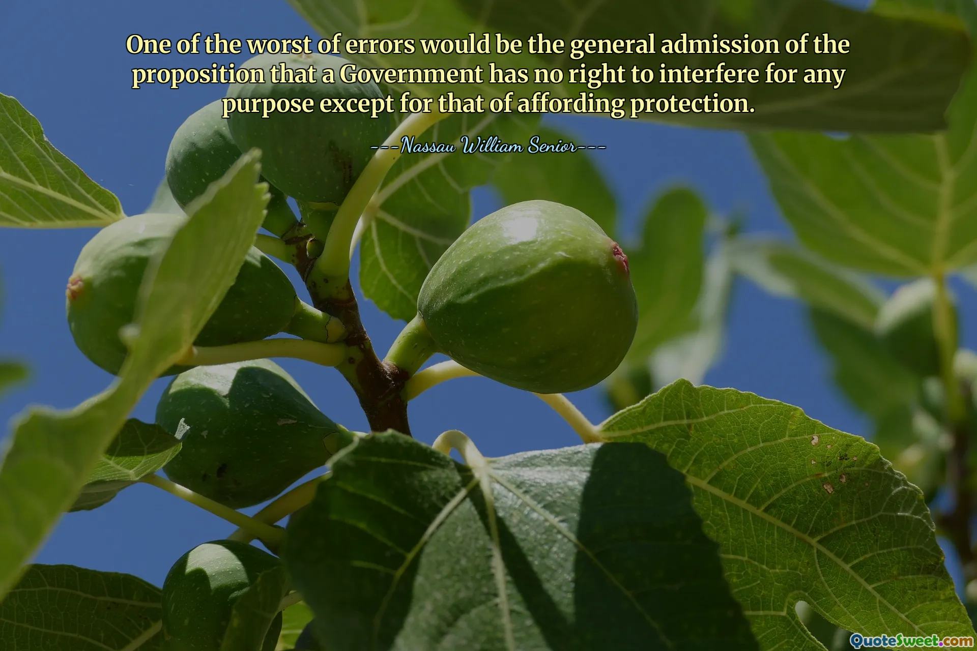 One of the worst of errors would be the general admission of the proposition that a Government has no right to interfere for any purpose except for that of affording protection.