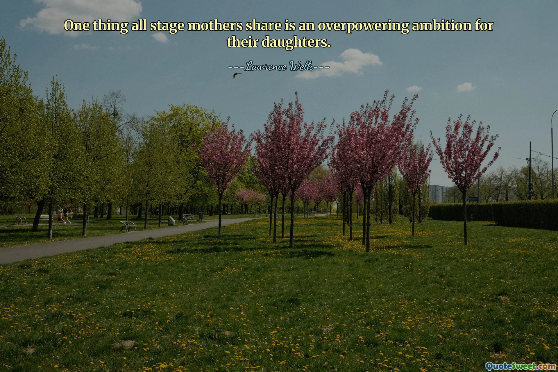 ერთი რამ, რასაც ყველა სცენის დედა იზიარებს, არის ძლევამოსილი ამბიცია მათი ქალიშვილებისთვის.