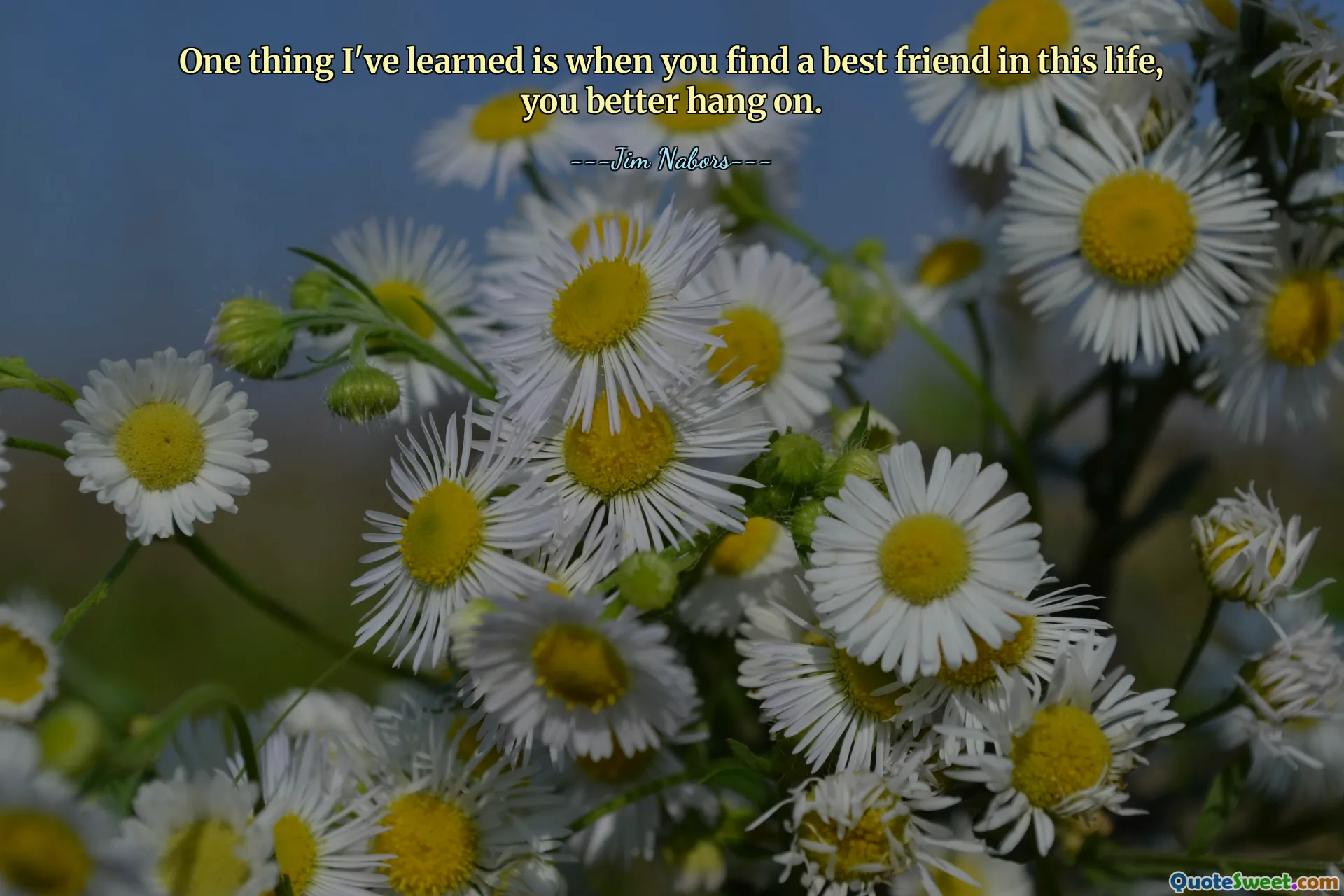 One thing I've learned is when you find a best friend in this life, you better hang on.