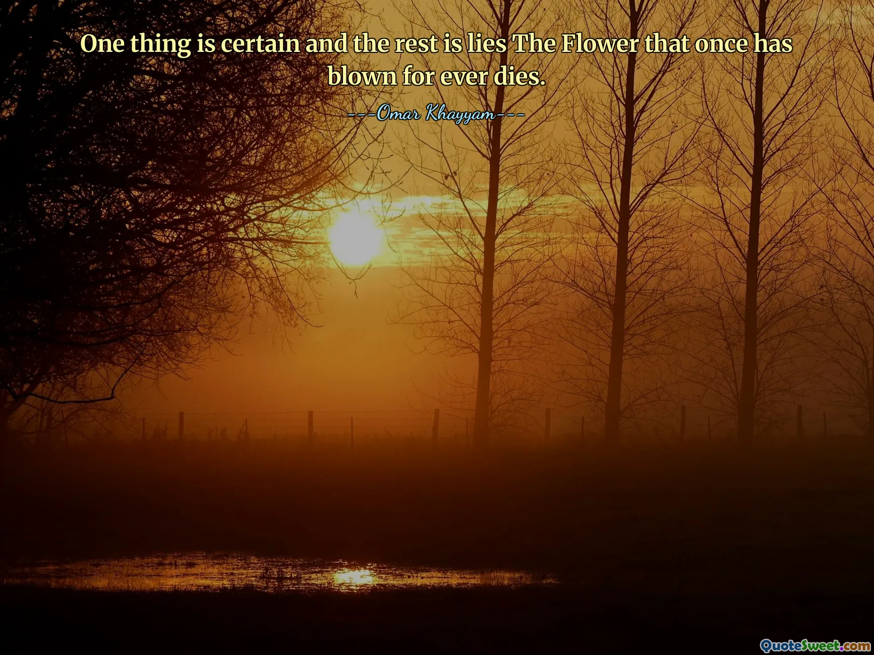 One thing is certain and the rest is lies The Flower that once has blown for ever dies.