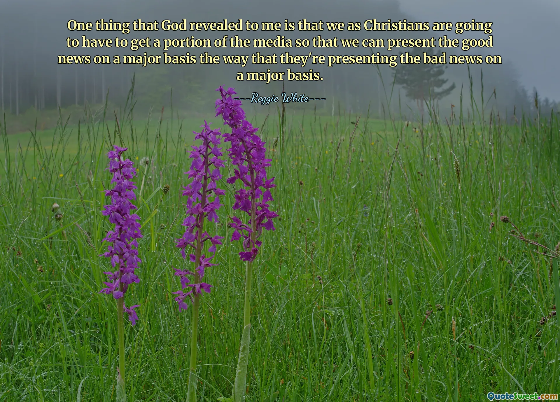 One thing that God revealed to me is that we as Christians are going to have to get a portion of the media so that we can present the good news on a major basis the way that they're presenting the bad news on a major basis.