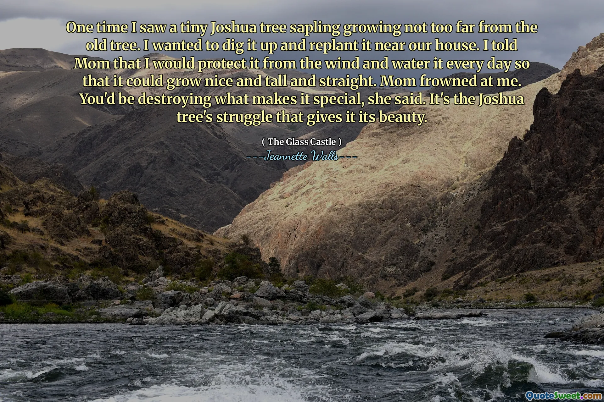Uma vez, vi uma pequena árvore de Joshua, que crescia, não muito longe da velha árvore. Eu queria desenterrá -lo e replantá -lo perto de nossa casa. Eu disse à mamãe que o protegeria do vento e regue -o todos os dias para que pudesse crescer agradável, alto e reto. Mamãe franziu a testa para mim. Você estaria destruindo o que o torna especial, ela disse. É a luta da árvore de Joshua que lhe dá sua beleza.