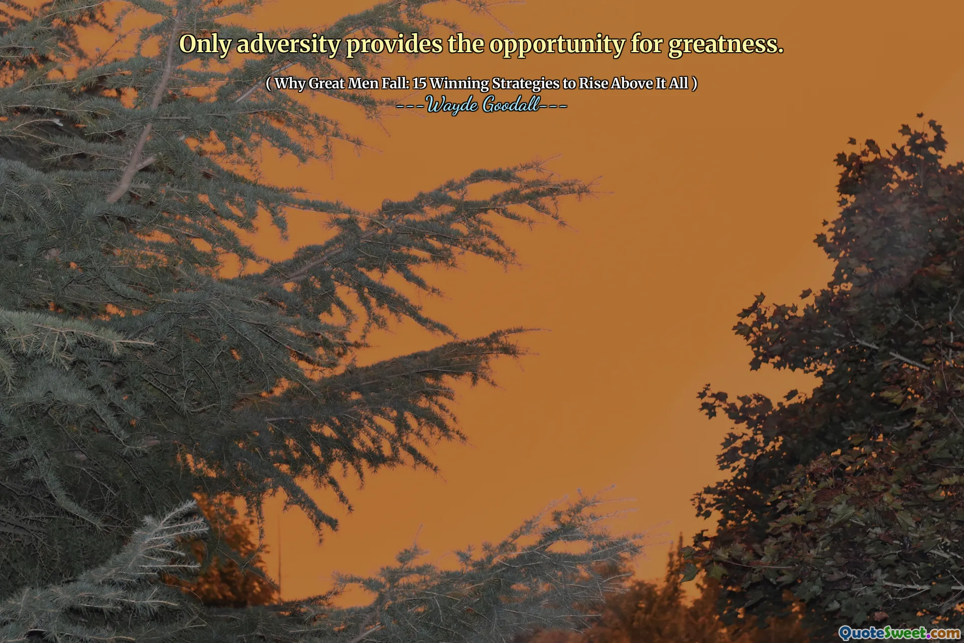 Only adversity provides the opportunity for greatness.