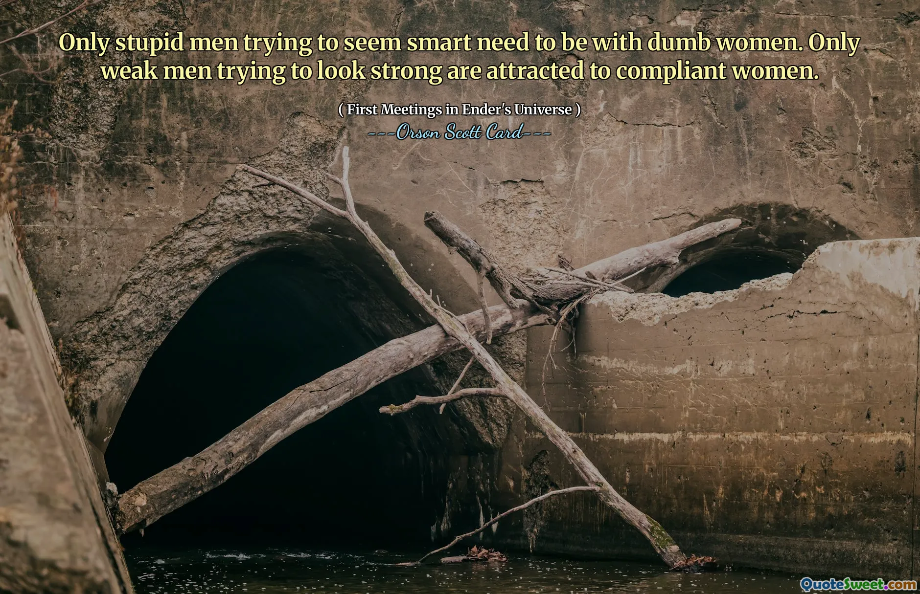 Bara dumma män som försöker verka smarta behöver vara med dumma kvinnor. Endast svaga män som försöker se starka ut attraheras av följsamma kvinnor.