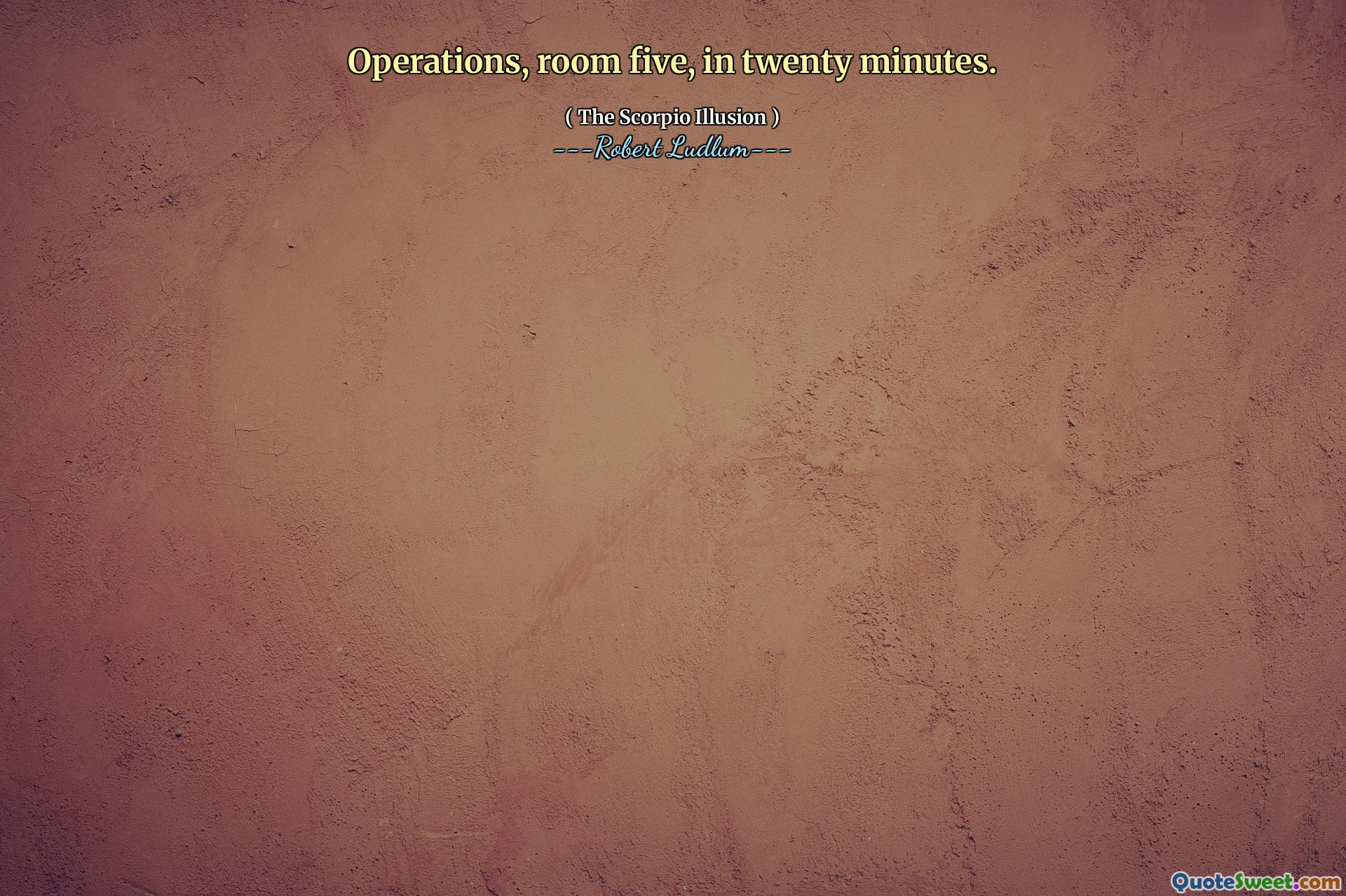 五号房间的行动，二十分钟内完成。