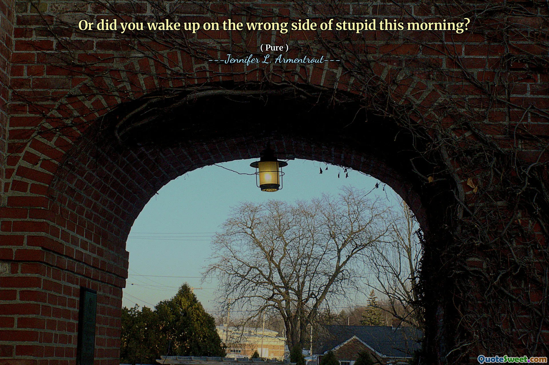 Or did you wake up on the wrong side of stupid this morning?