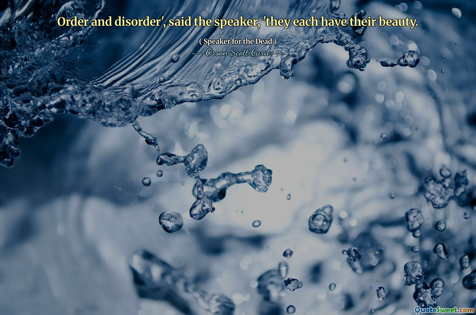 질서와 무질서'라고 화자는 말했습니다. '그들은 각각 고유한 아름다움을 가지고 있습니다.