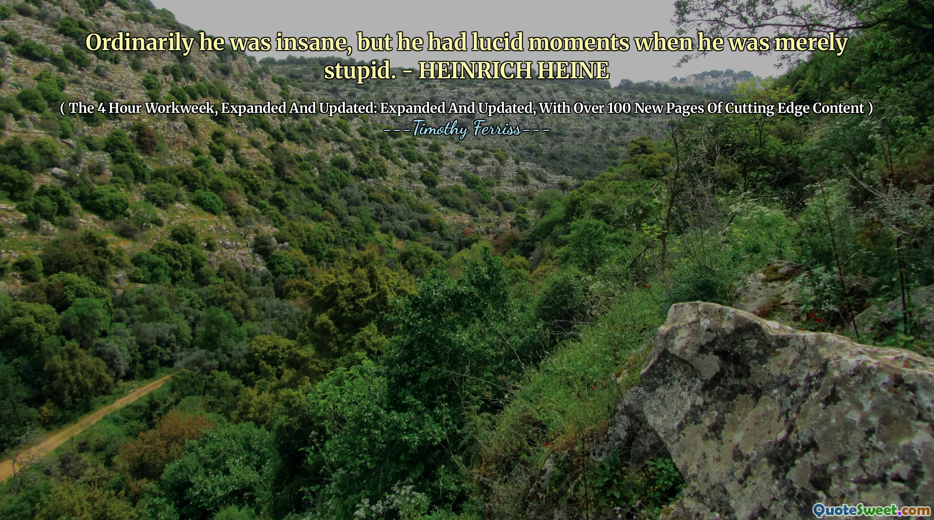 Ordinarily he was insane, but he had lucid moments when he was merely stupid. - HEINRICH HEINE