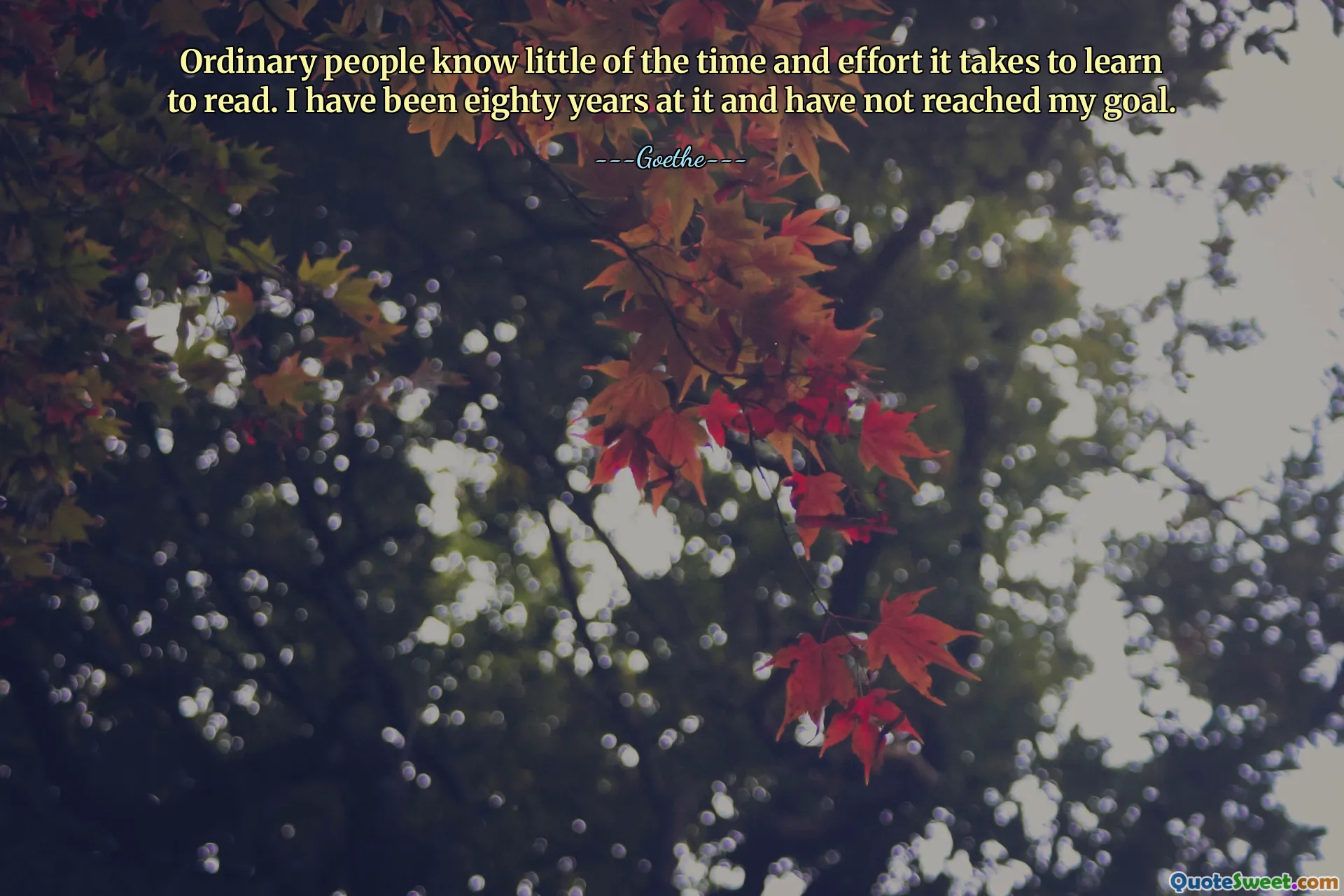 Ordinary people know little of the time and effort it takes to learn to read. I have been eighty years at it and have not reached my goal.