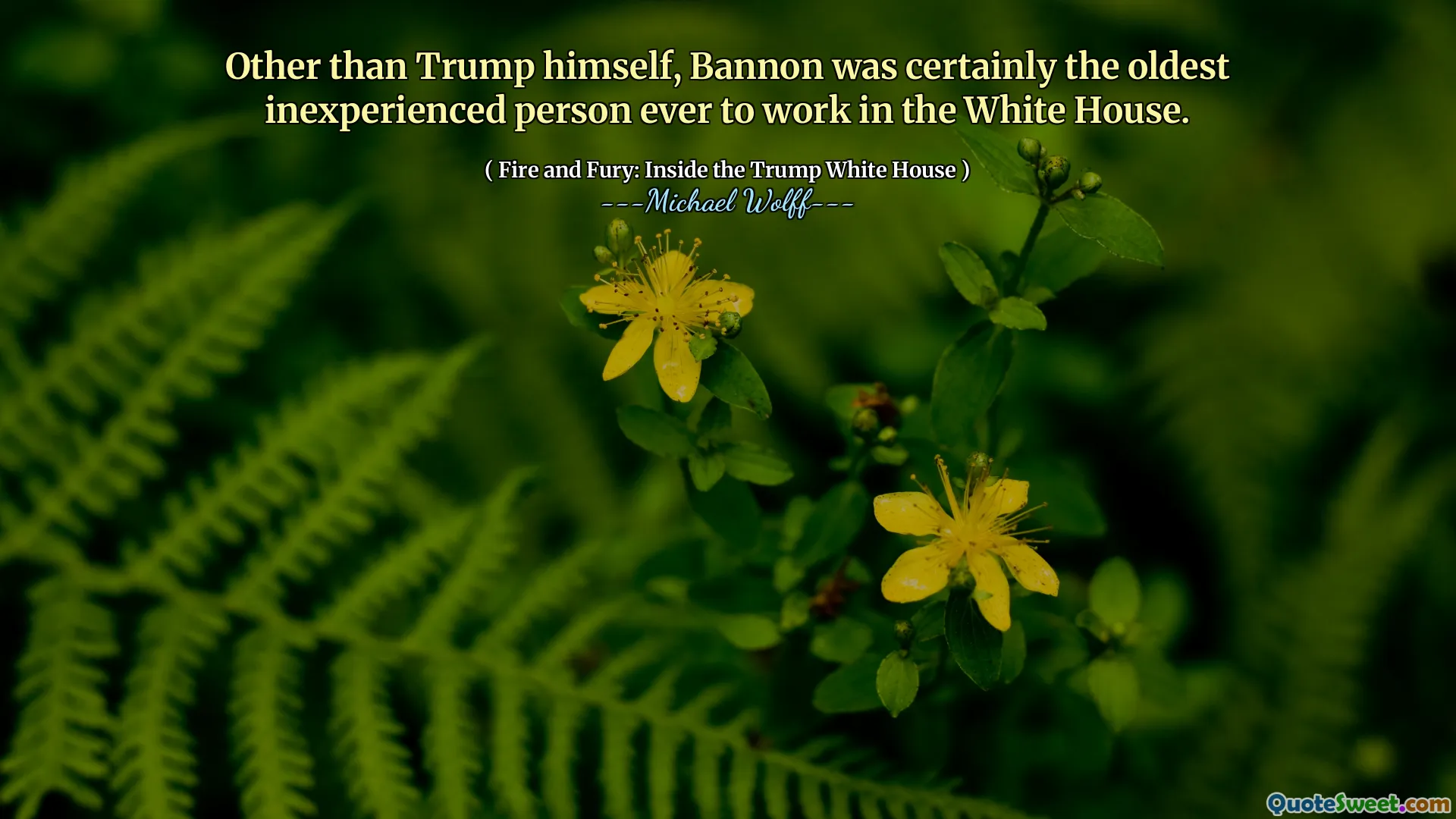 Other than Trump himself, Bannon was certainly the oldest inexperienced person ever to work in the White House.
