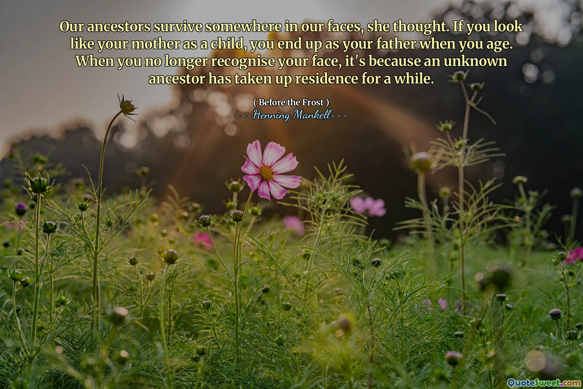 Our ancestors survive somewhere in our faces, she thought. If you look like your mother as a child, you end up as your father when you age. When you no longer recognise your face, it's because an unknown ancestor has taken up residence for a while.