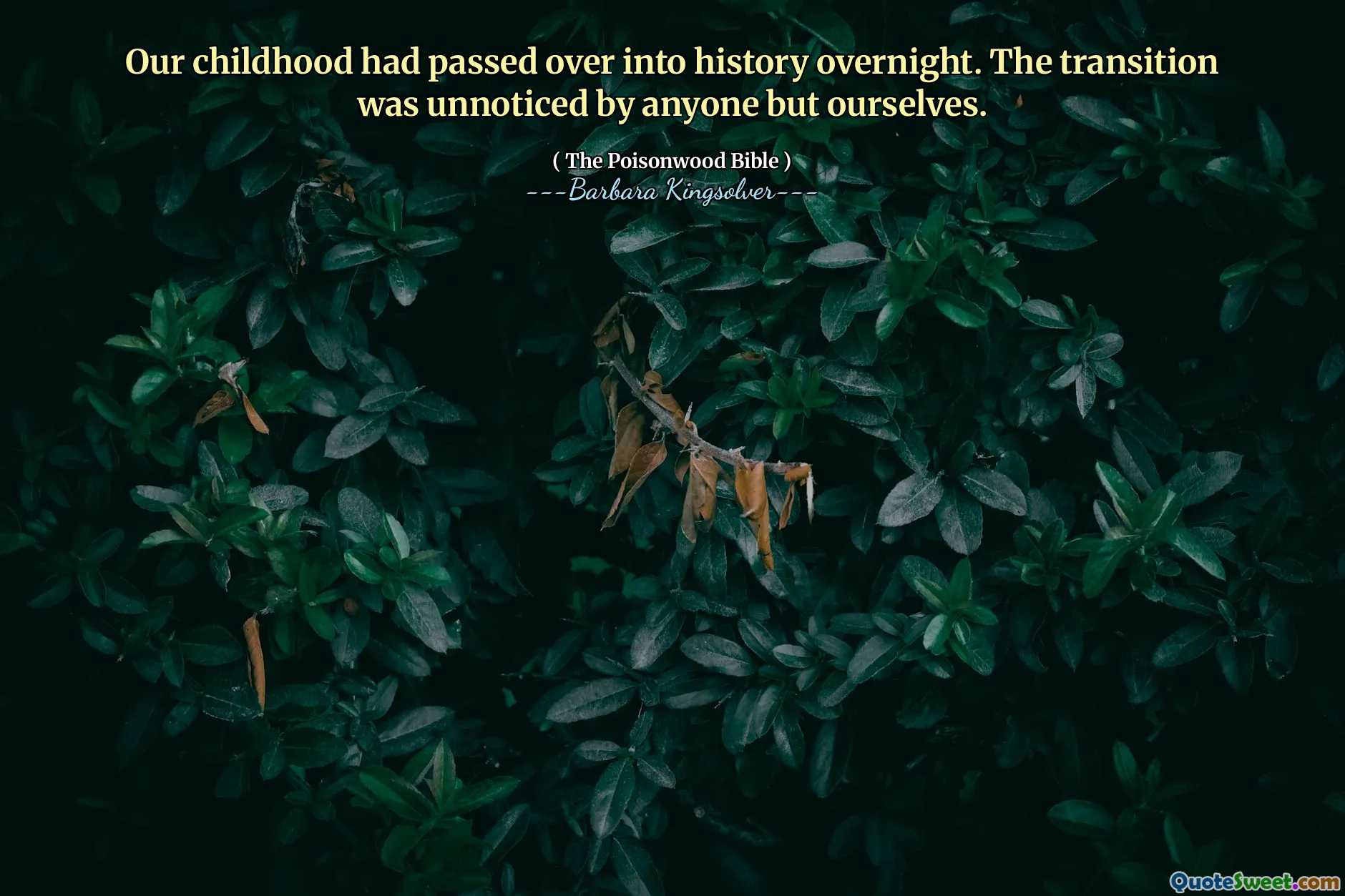 Copilăria noastră a trecut peste noapte în istorie. Tranziția a fost neobservată de oricine, în afară de noi înșine.