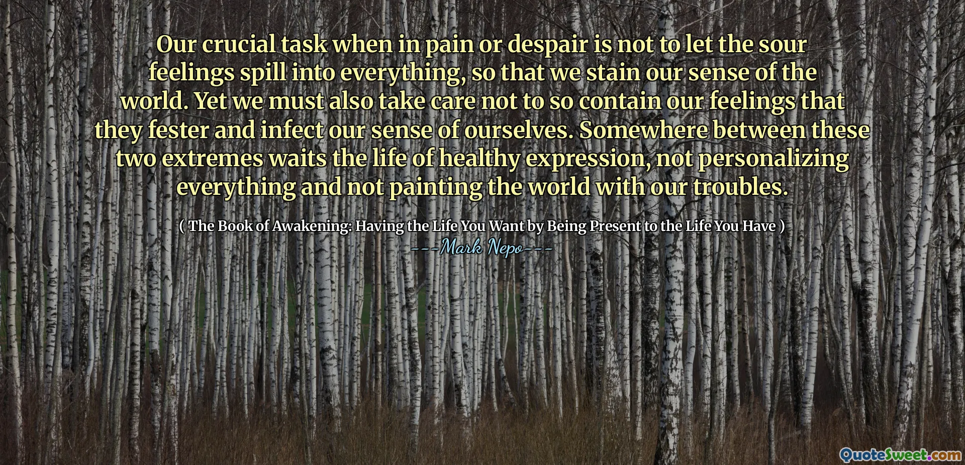 Notre tâche cruciale lorsqu'elle est dans la douleur ou le désespoir n'est pas de laisser les sentiments aigres se répandre dans tout, afin que nous colations notre sens du monde. Pourtant, nous devons également prendre soin de ne pas contenir ainsi nos sentiments qu'ils s'enfèrent et infectent notre sens de nous-mêmes. Quelque part entre ces deux extrêmes attend la vie d'une expression saine, ne personnalisant pas tout et ne pas peindre le monde avec nos problèmes.