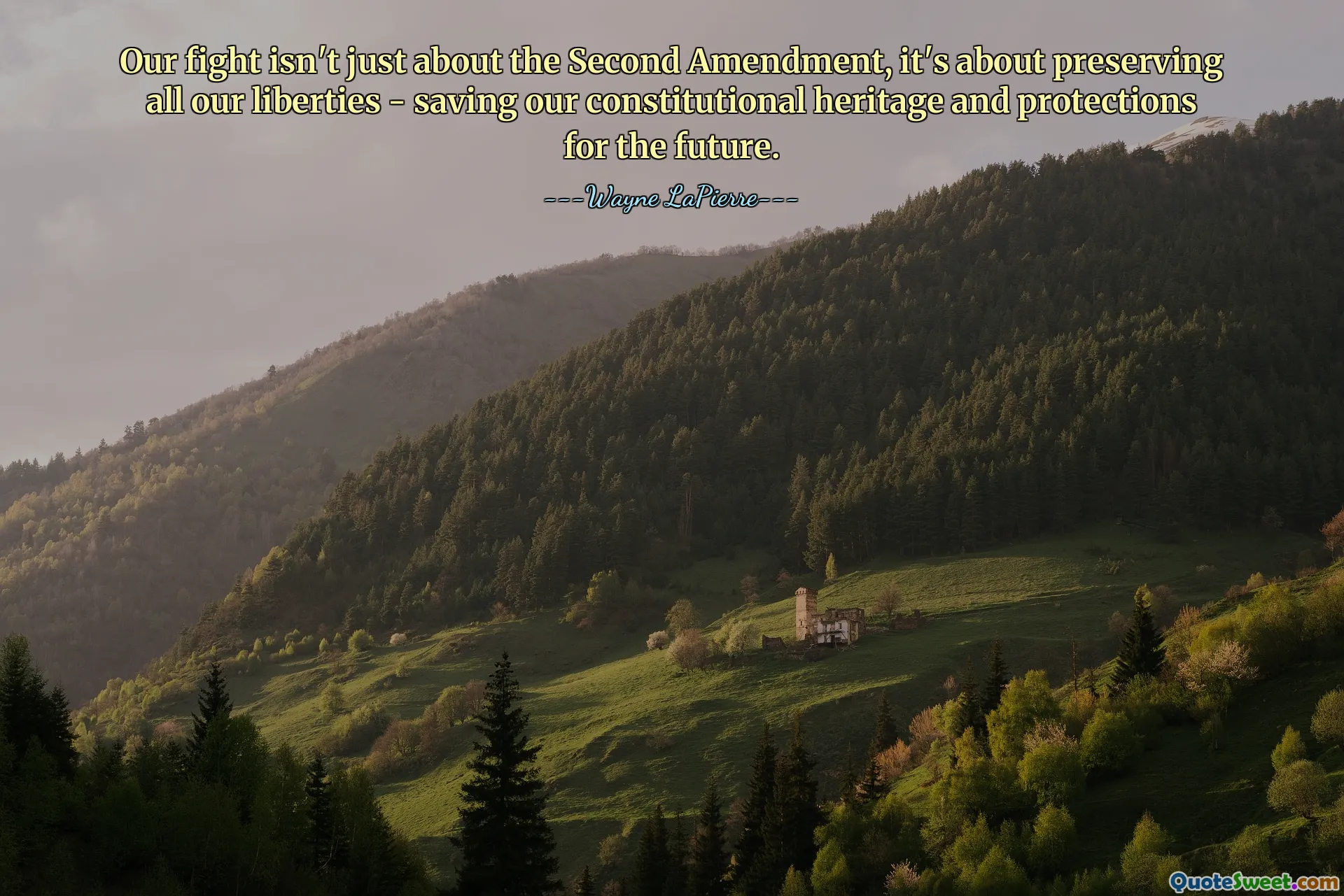Our fight isn't just about the Second Amendment, it's about preserving all our liberties - saving our constitutional heritage and protections for the future.
