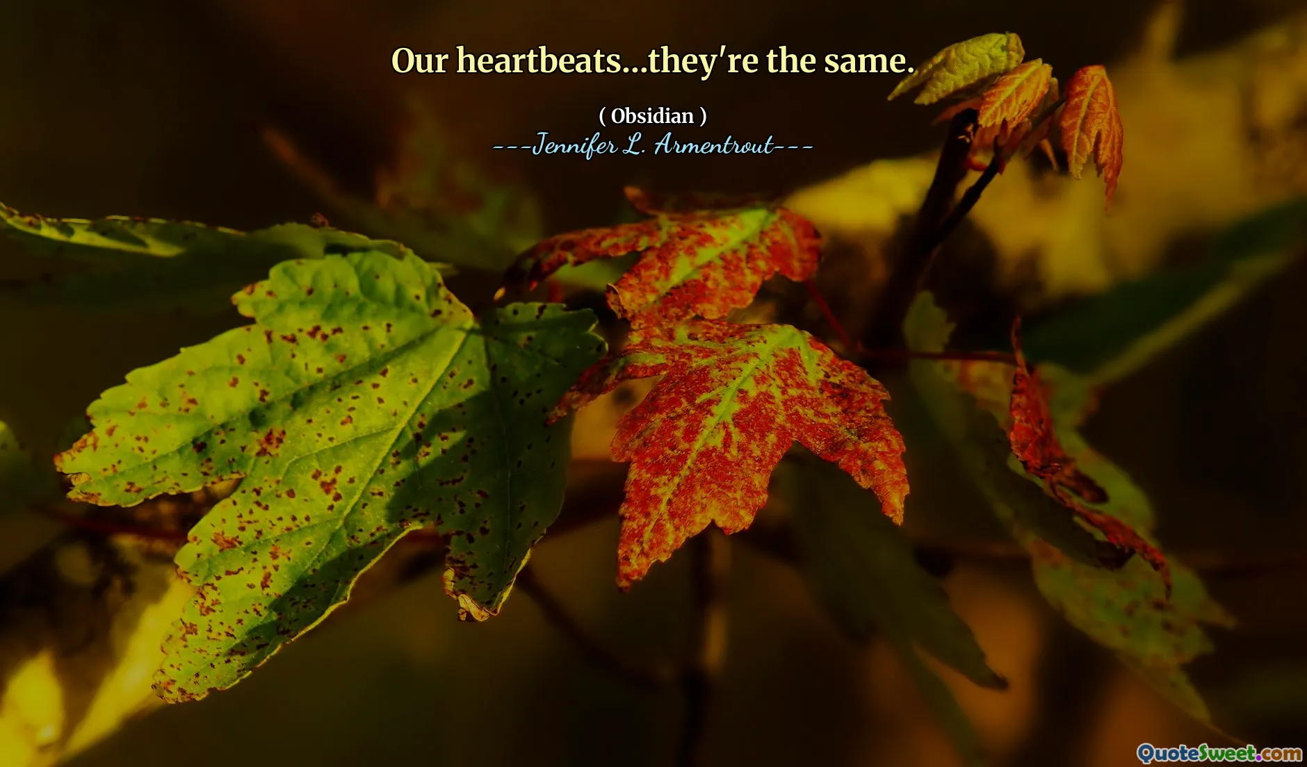 Our heartbeats…they're the same.