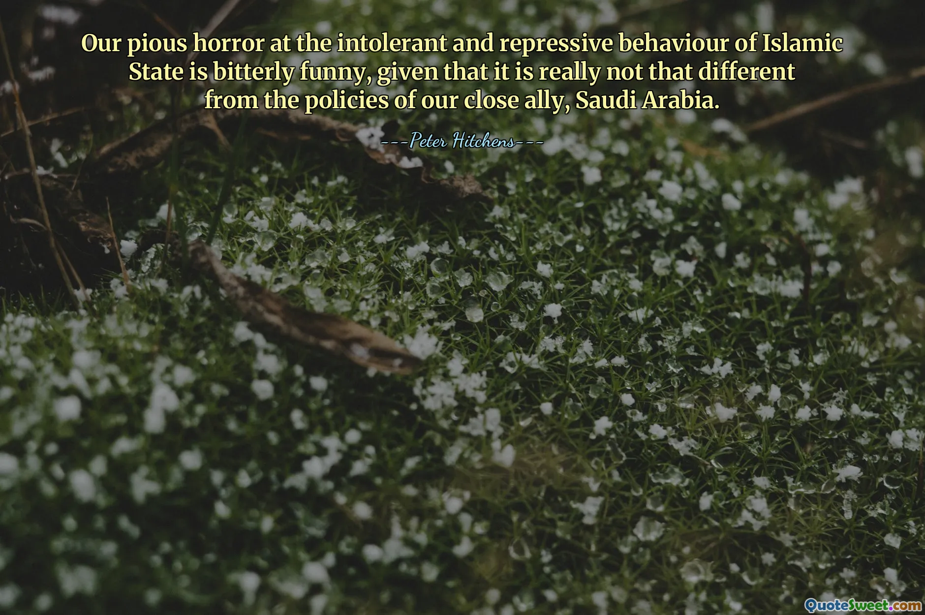 Our pious horror at the intolerant and repressive behaviour of Islamic State is bitterly funny, given that it is really not that different from the policies of our close ally, Saudi Arabia.