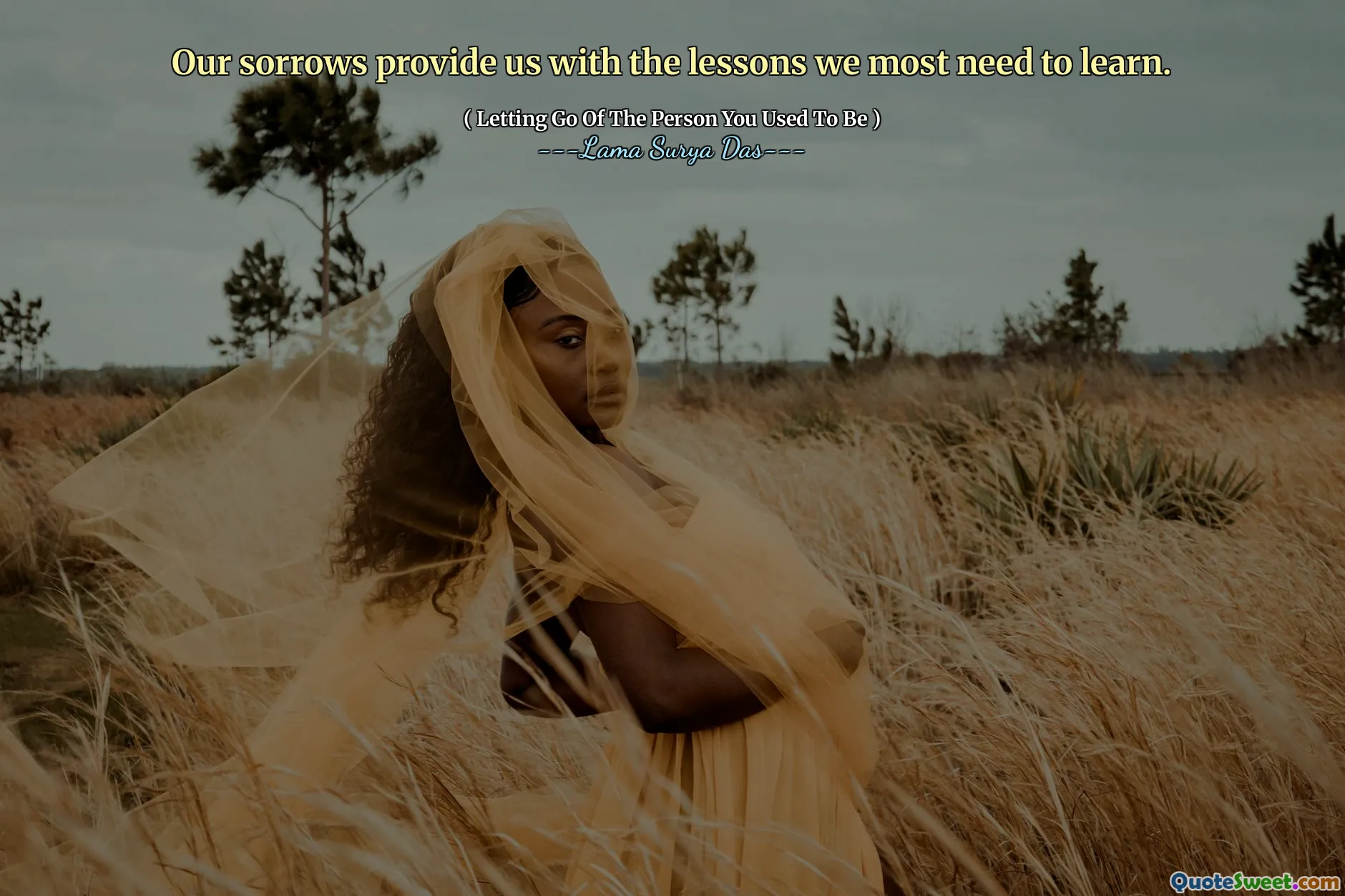 Nỗi buồn của chúng tôi cung cấp cho chúng tôi những bài học chúng tôi cần học nhất.