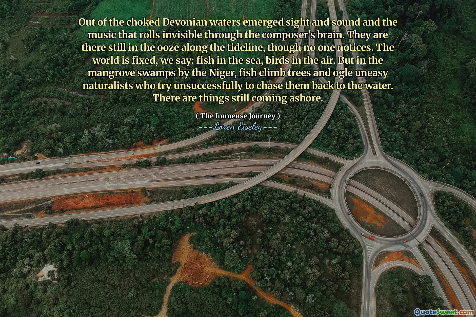 Out of the choked Devonian waters emerged sight and sound and the music that rolls invisible through the composer's brain. They are there still in the ooze along the tideline, though no one notices. The world is fixed, we say: fish in the sea, birds in the air. But in the mangrove swamps by the Niger, fish climb trees and ogle uneasy naturalists who try unsuccessfully to chase them back to the water. There are things still coming ashore.