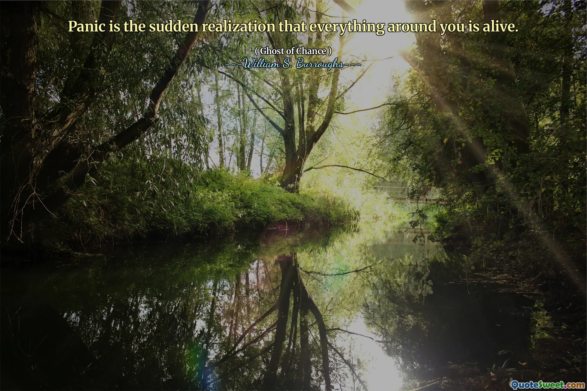 Panic is the sudden realization that everything around you is alive.