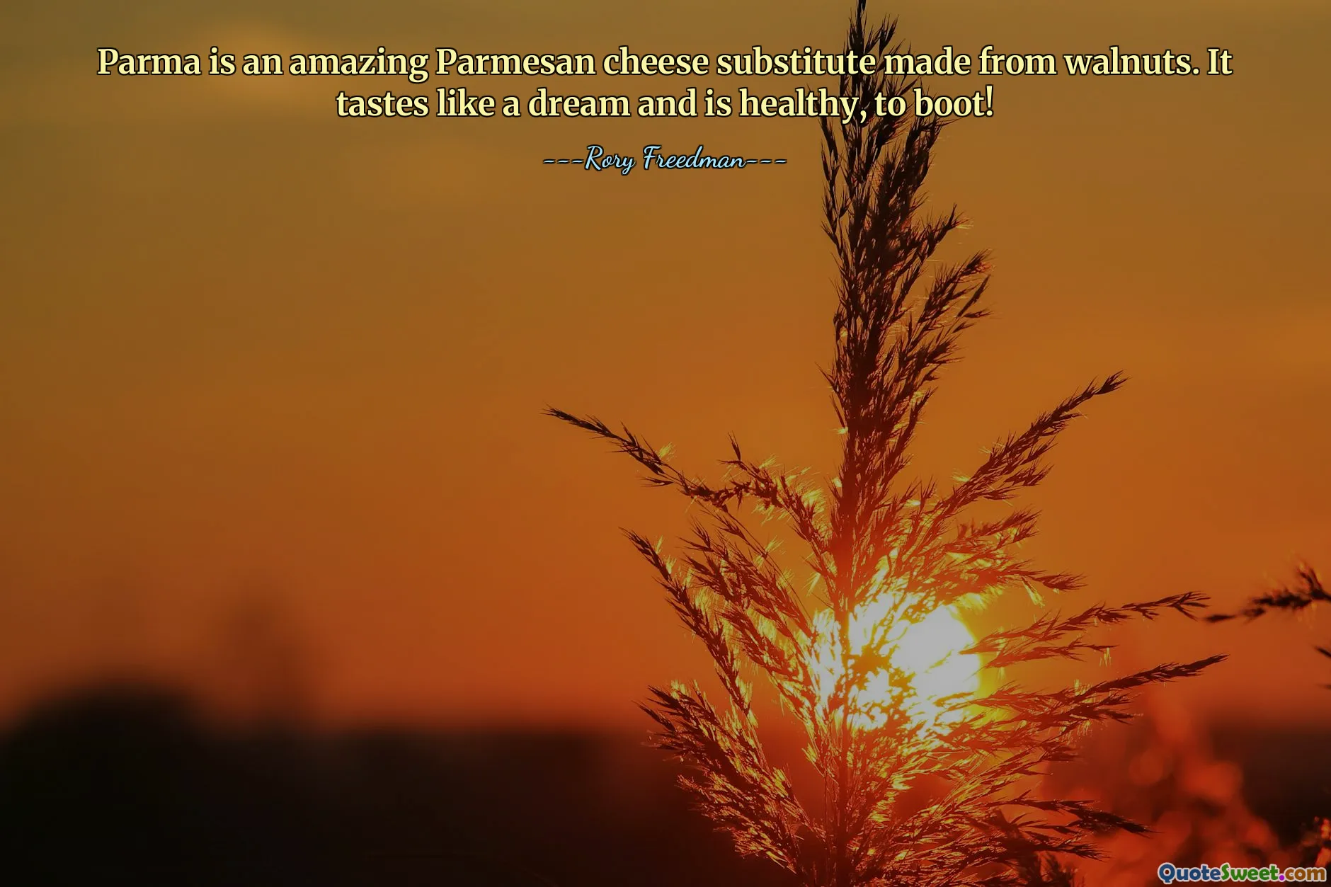 Parma is an amazing Parmesan cheese substitute made from walnuts. It tastes like a dream and is healthy, to boot!