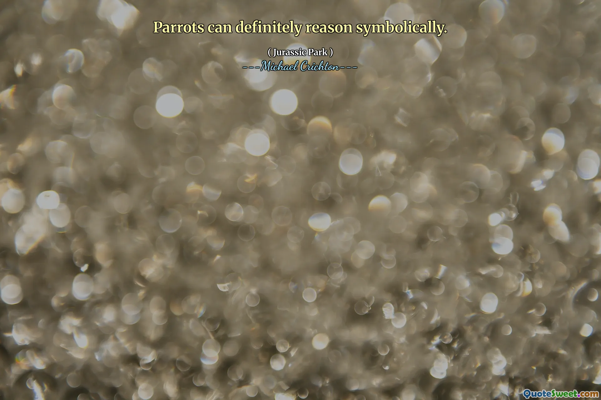 鹦鹉绝对可以象征性地理由。