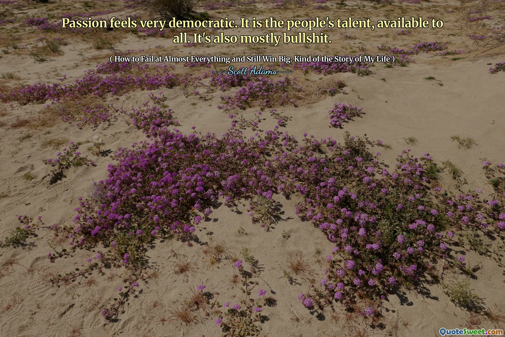 Vášeň se cítí velmi demokratická. Je to talent lidí, dostupný všem. Je to také většinou kecy.