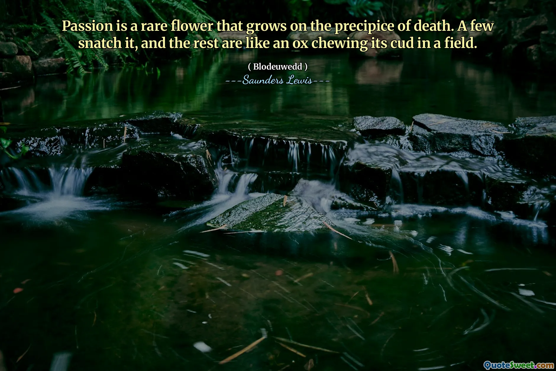 Passion is a rare flower that grows on the precipice of death. A few snatch it, and the rest are like an ox chewing its cud in a field.