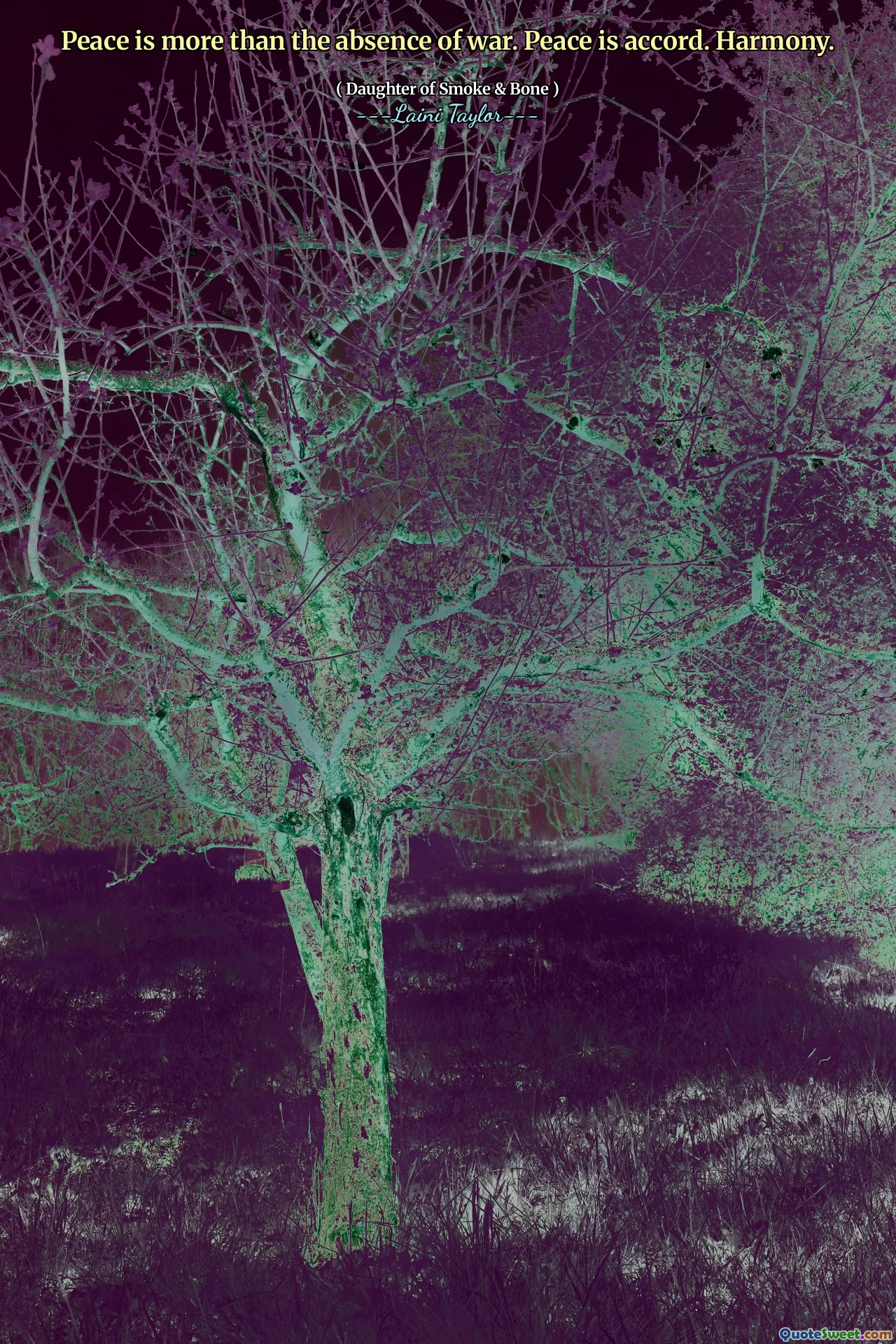 Peace is more than the absence of war. Peace is accord. Harmony.