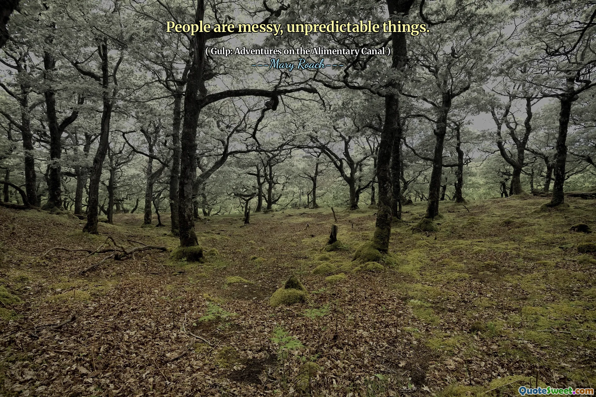 People are messy, unpredictable things.