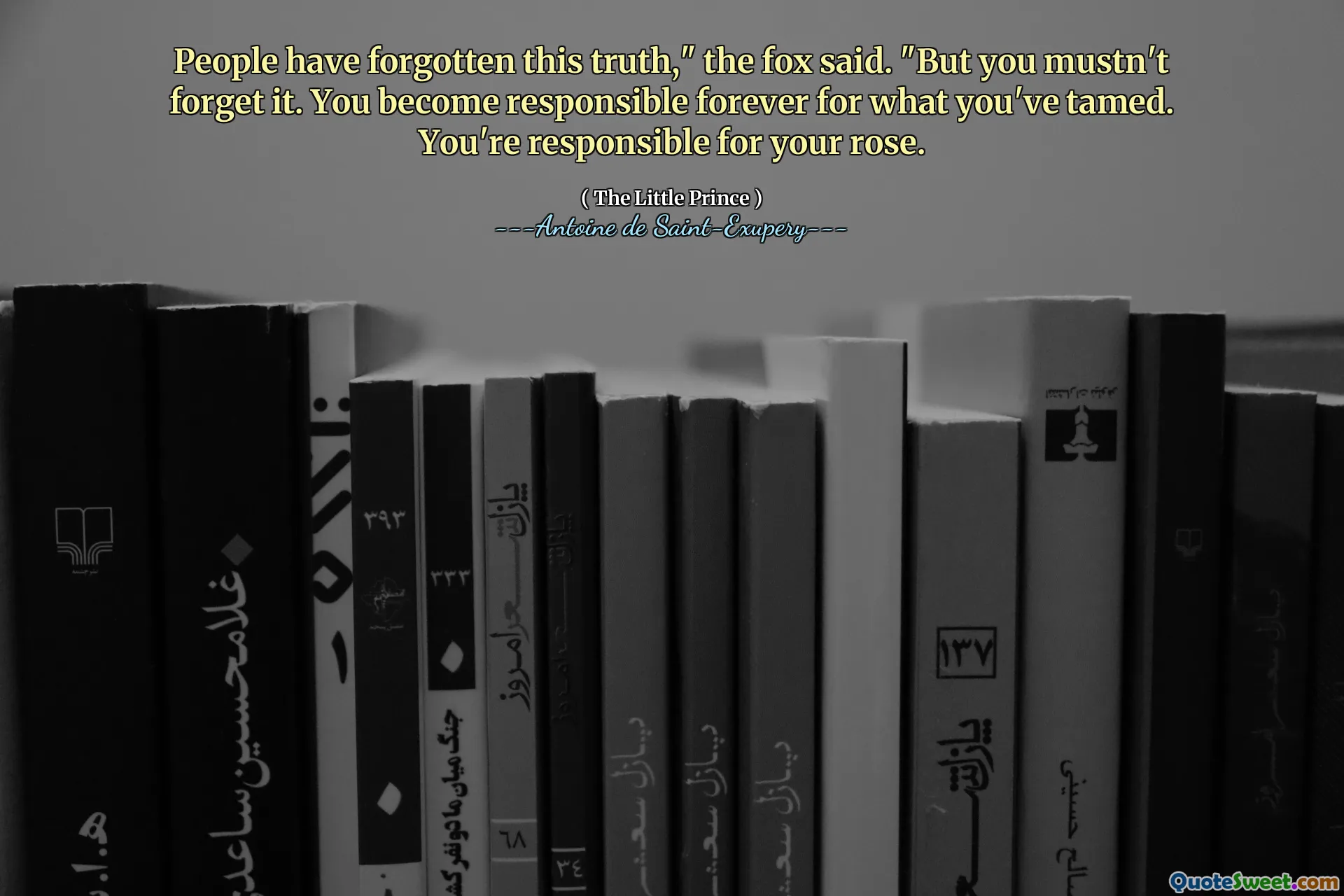People have forgotten this truth," the fox said. "But you mustn't forget it. You become responsible forever for what you've tamed. You're responsible for your rose.