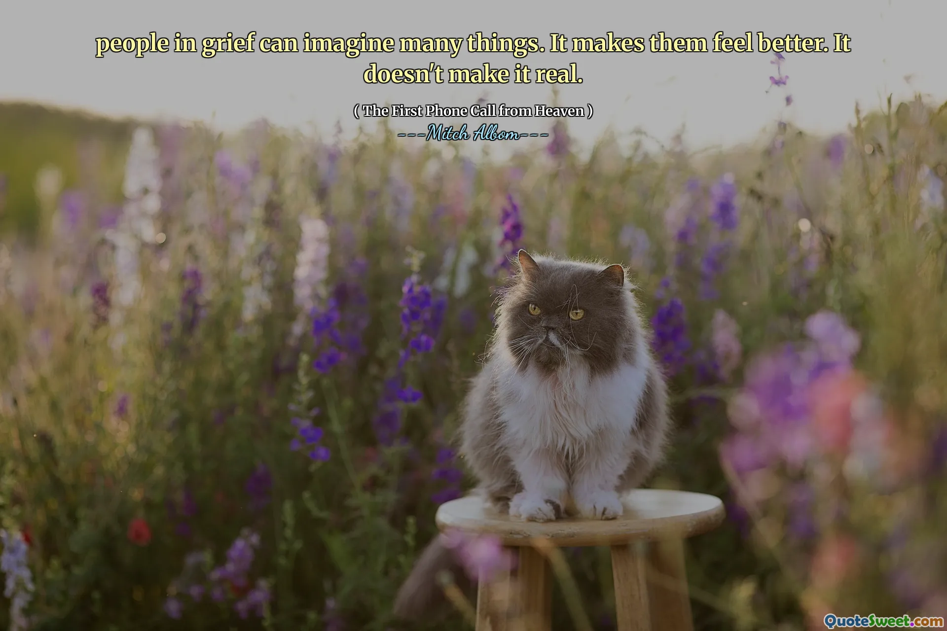 Kederli insanlar birçok şeyi hayal edebilir. Bu kendilerini daha iyi hissetmelerini sağlar. Bu onu gerçek yapmaz.