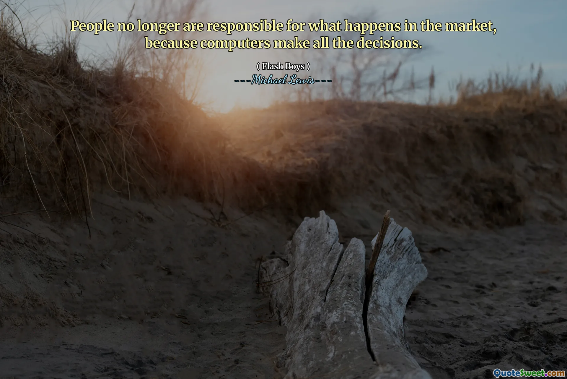 컴퓨터가 모든 결정을 내리기 때문에 사람들은 더 이상 시장에서 일어나는 일에 대한 책임이 없습니다.