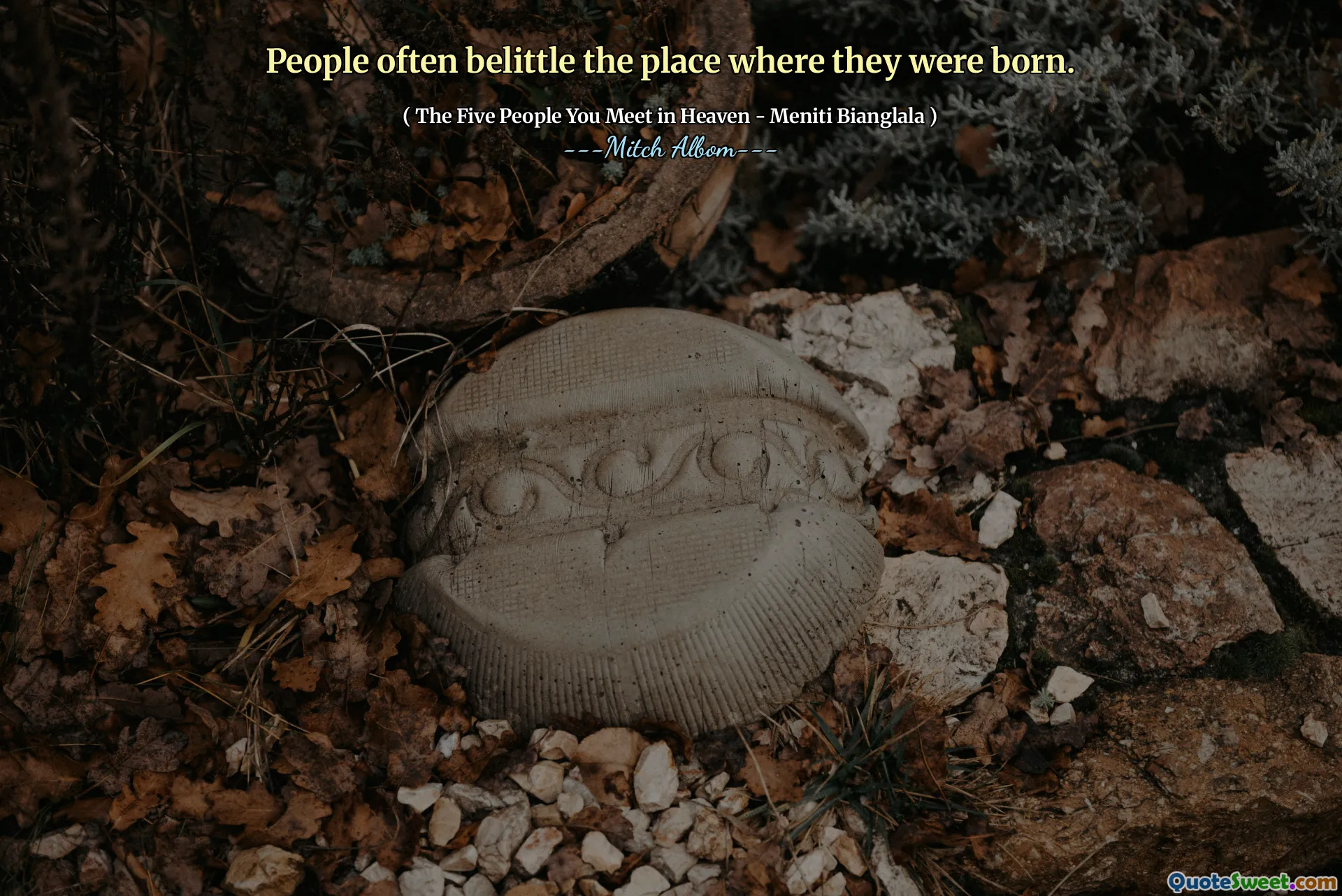 İnsanlar genellikle doğdukları yeri küçümserler.