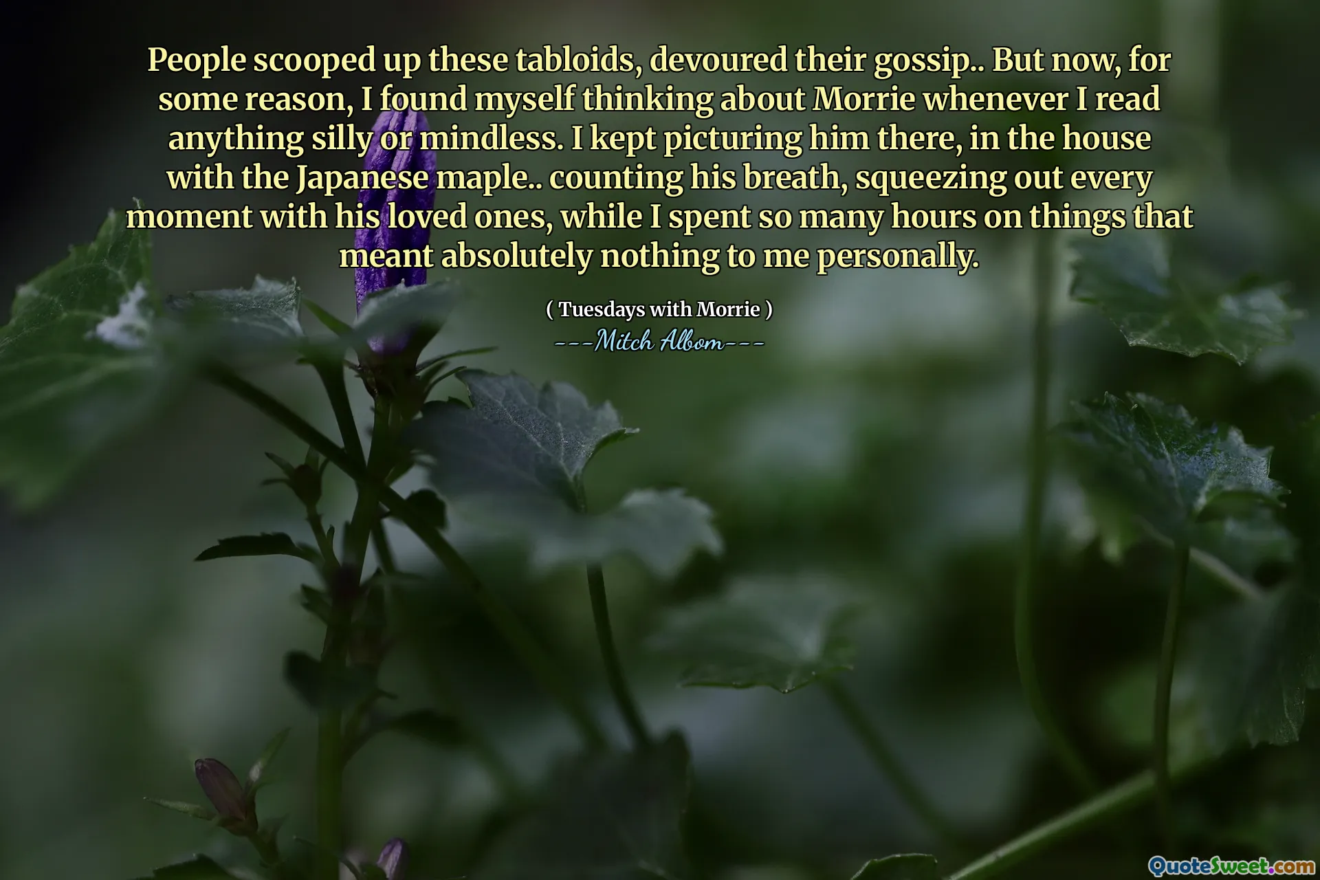 人们sc起了这些小报，吞噬了他们的八卦。但是，由于某种原因，每当我读书时，我都会发现自己在想莫里。我一直在那里与日本枫树一起在屋子里拍摄他。算着他的呼吸，和他的亲人一起挤出了每一刻，而我花了很多时间在对我个人来说绝对没有意义的事情上。