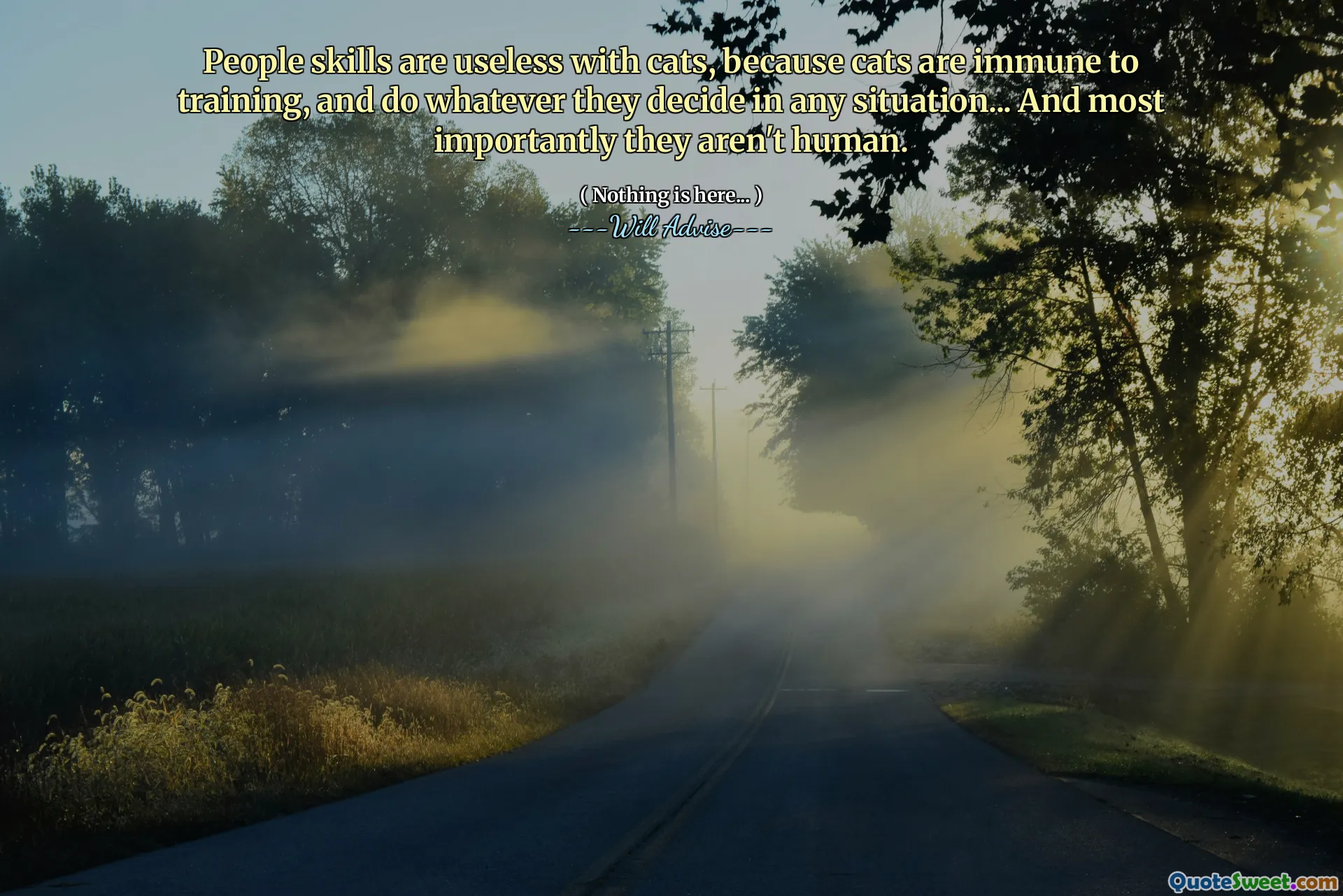 People skills are useless with cats, because cats are immune to training, and do whatever they decide in any situation... And most importantly they aren't human.