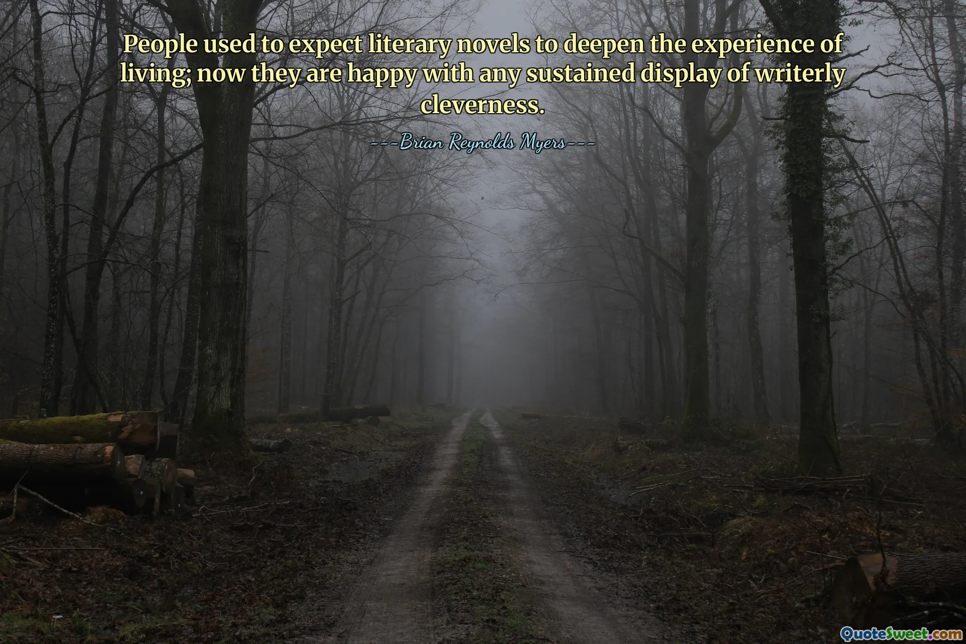 People used to expect literary novels to deepen the experience of living; now they are happy with any sustained display of writerly cleverness.