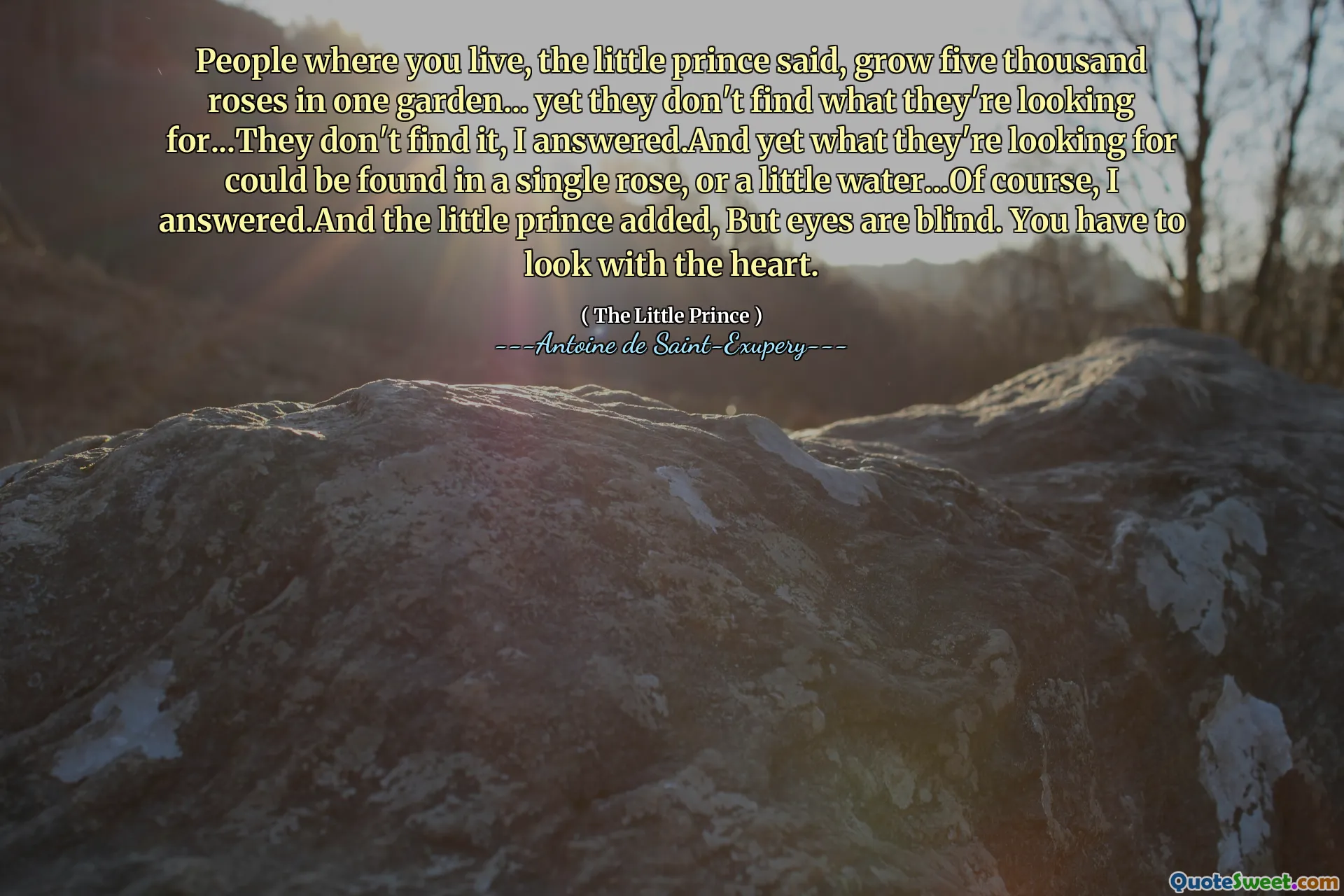 People where you live, the little prince said, grow five thousand roses in one garden... yet they don't find what they're looking for...They don't find it, I answered.And yet what they're looking for could be found in a single rose, or a little water...Of course, I answered.And the little prince added, But eyes are blind. You have to look with the heart.