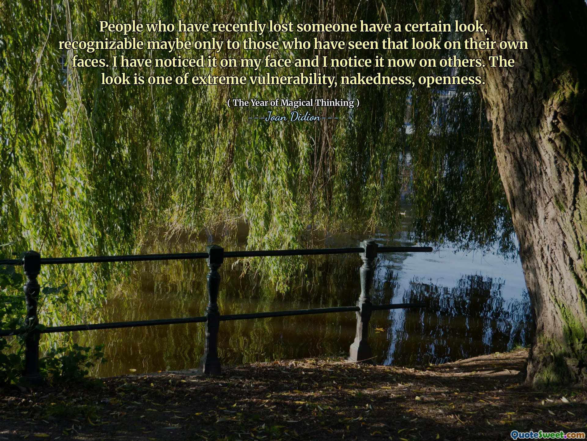 People who have recently lost someone have a certain look, recognizable maybe only to those who have seen that look on their own faces. I have noticed it on my face and I notice it now on others. The look is one of extreme vulnerability, nakedness, openness.
