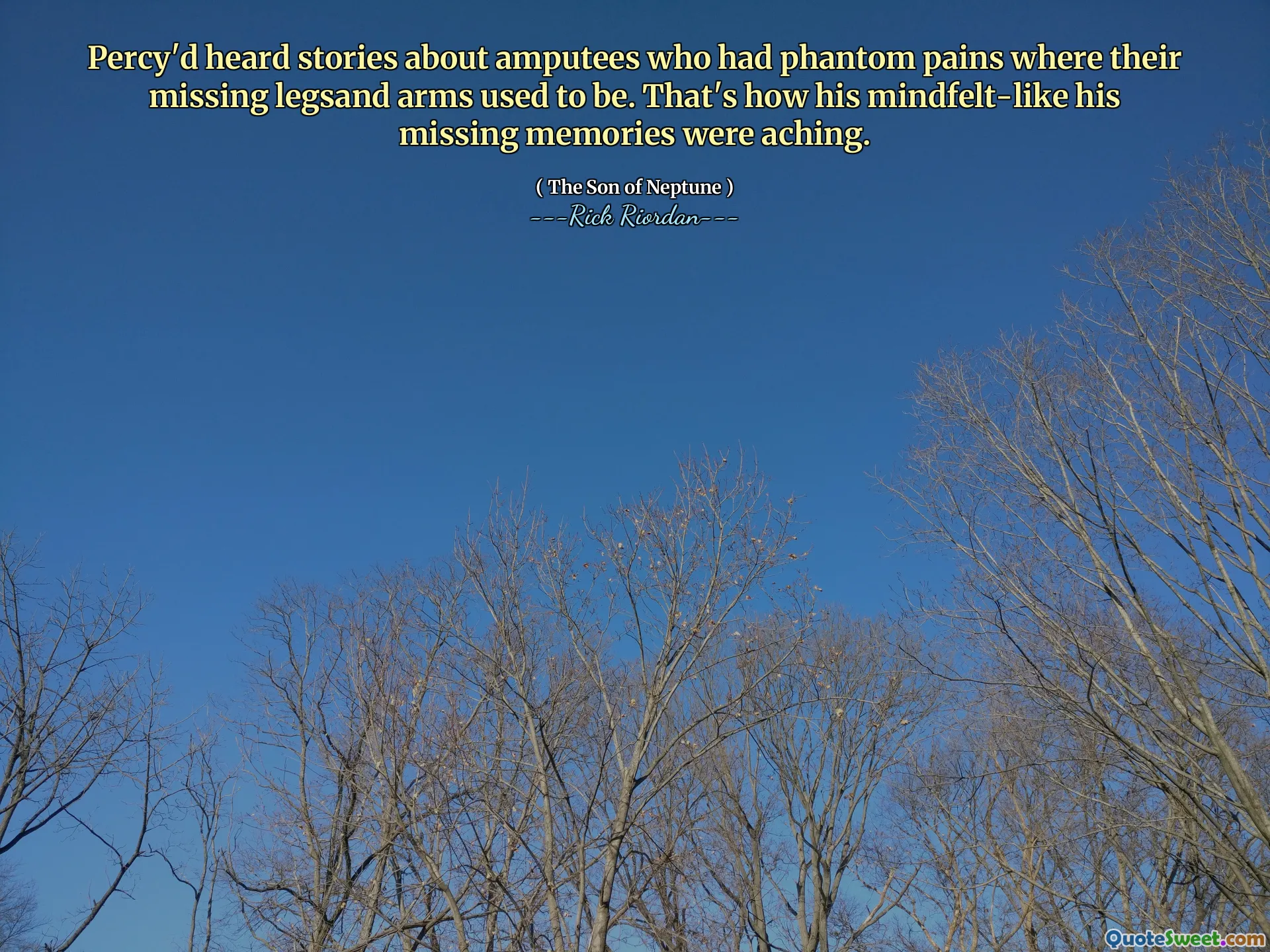 Percy'd heard stories about amputees who had phantom pains where their missing legsand arms used to be. That's how his mindfelt-like his missing memories were aching.