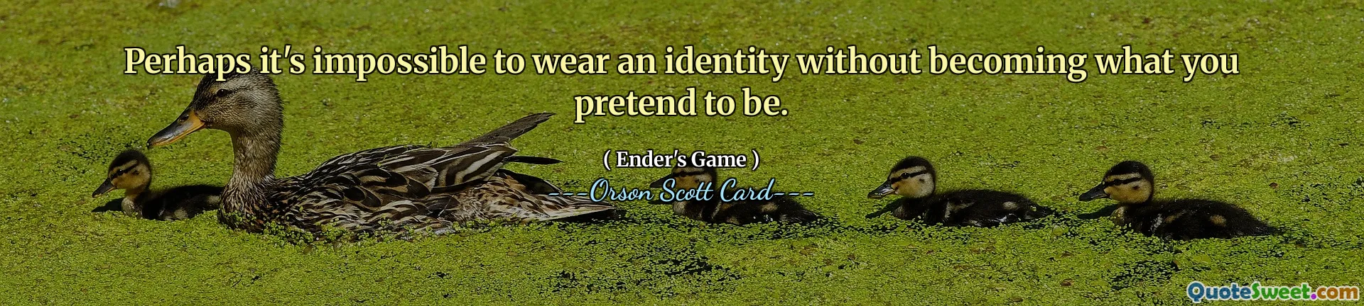 也许你不可能在不成为你假装的样子的情况下展现出一种身份。