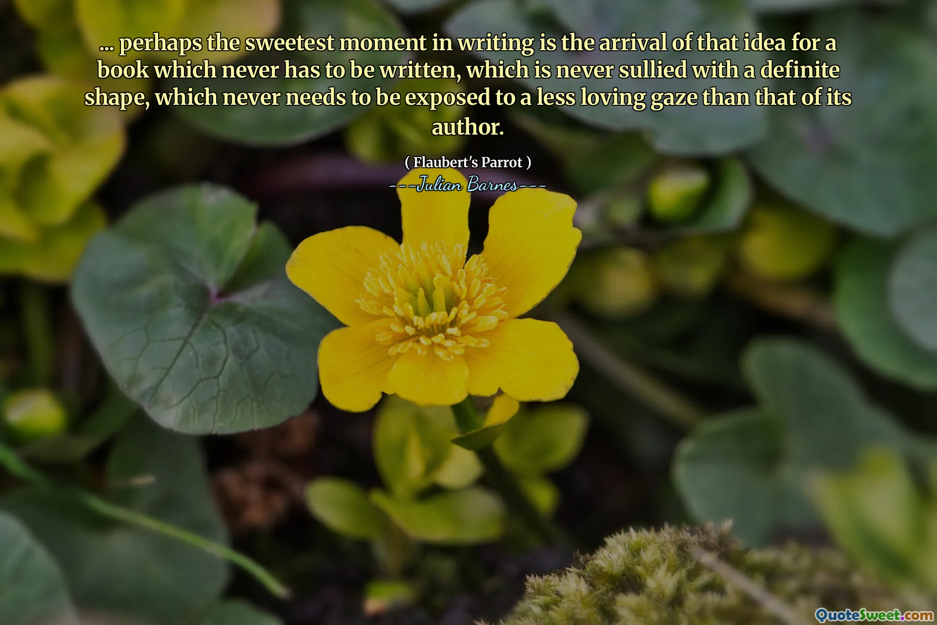 ... perhaps the sweetest moment in writing is the arrival of that idea for a book which never has to be written, which is never sullied with a definite shape, which never needs to be exposed to a less loving gaze than that of its author.