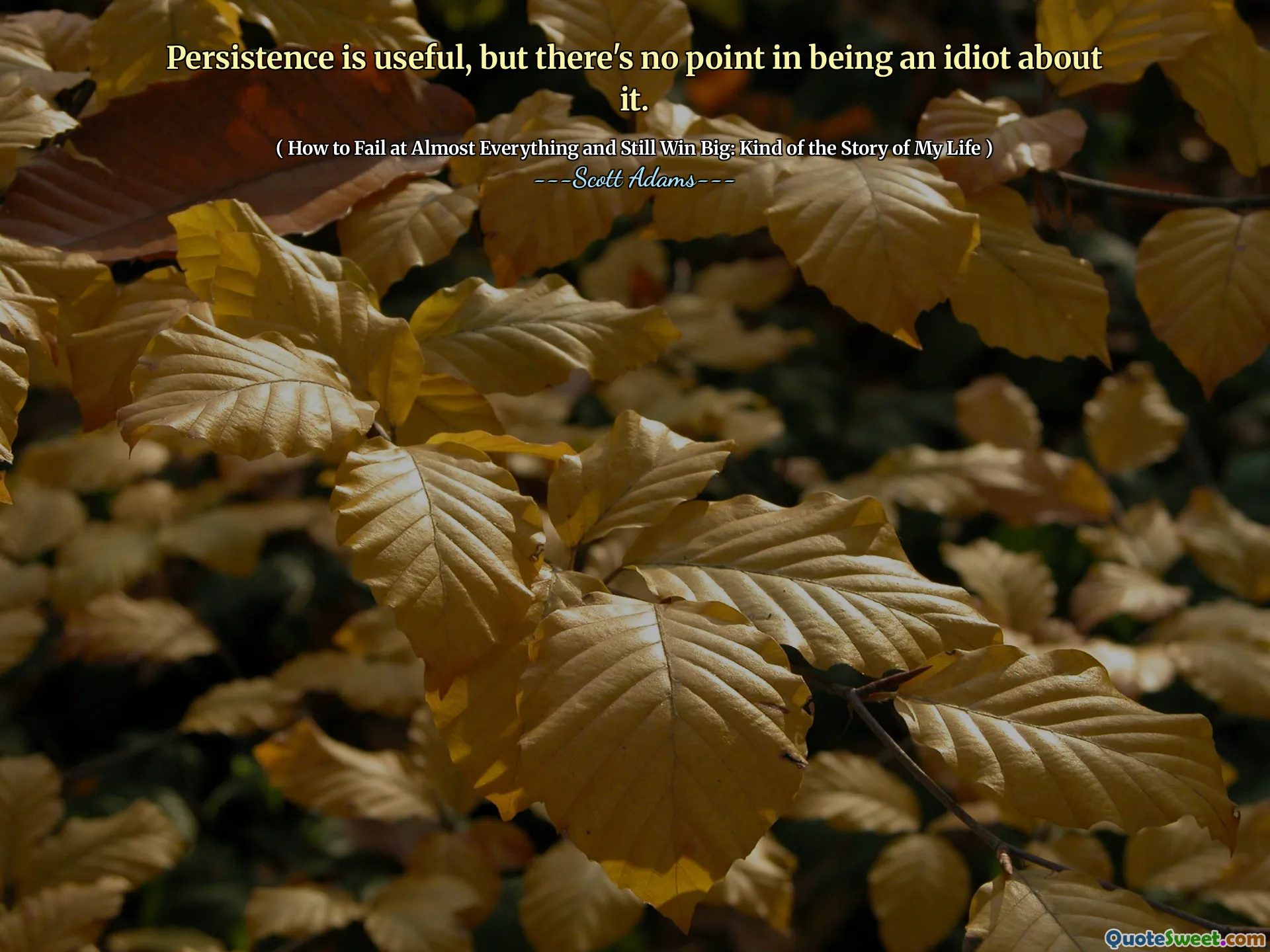 Persistence is useful, but there's no point in being an idiot about it.