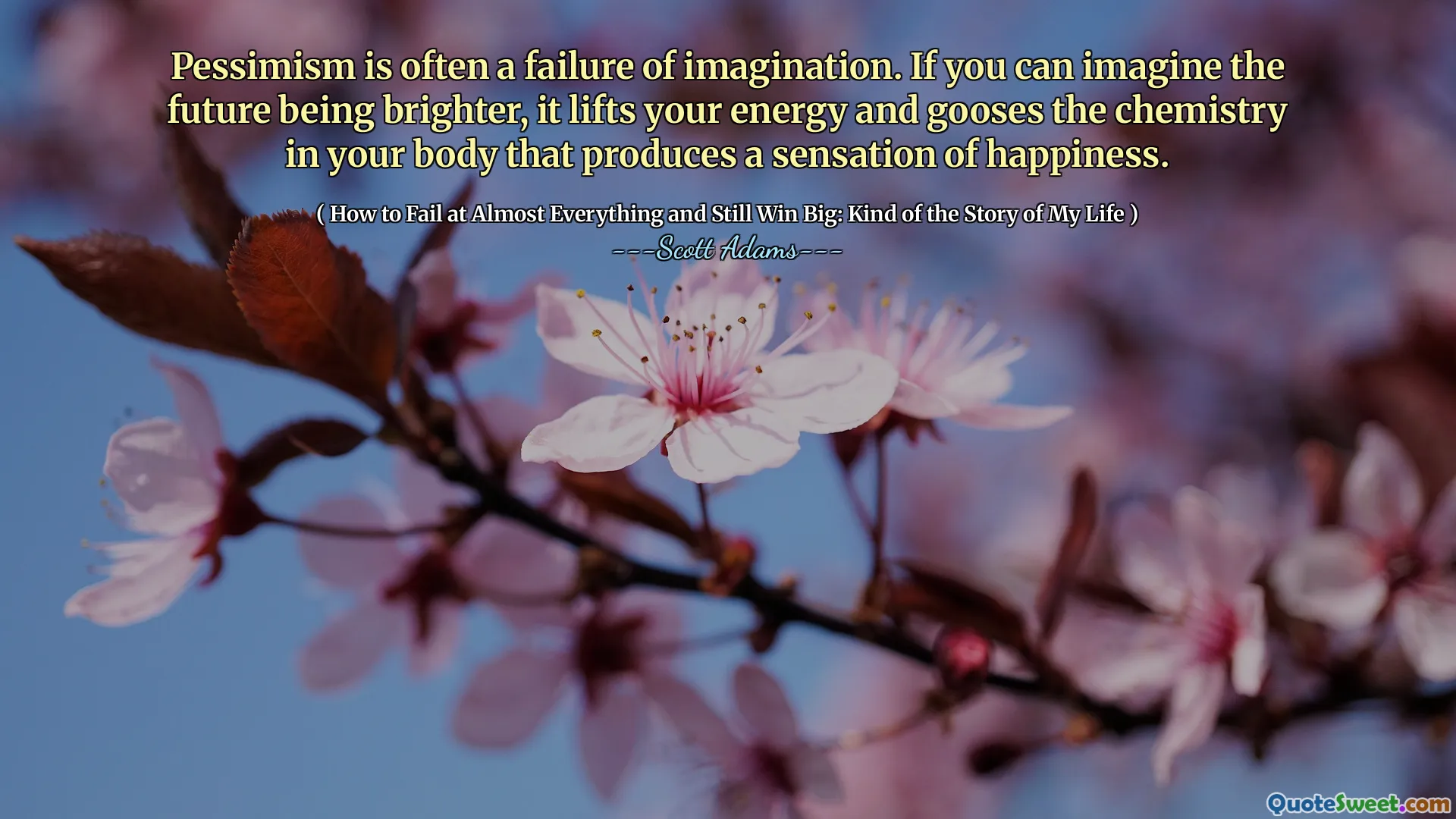 Pessimism is often a failure of imagination. If you can imagine the future being brighter, it lifts your energy and gooses the chemistry in your body that produces a sensation of happiness.