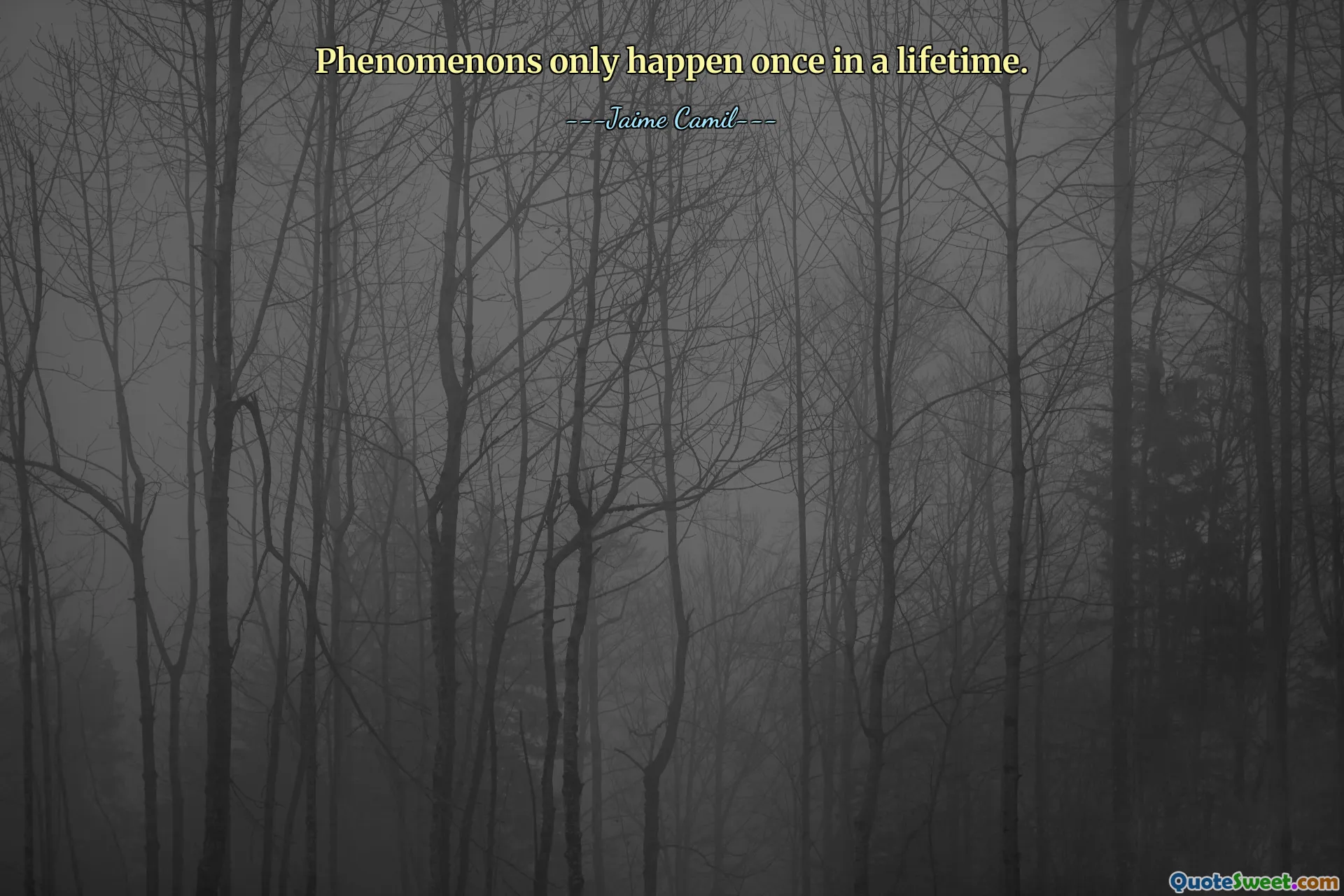 Phenomenons only happen once in a lifetime.