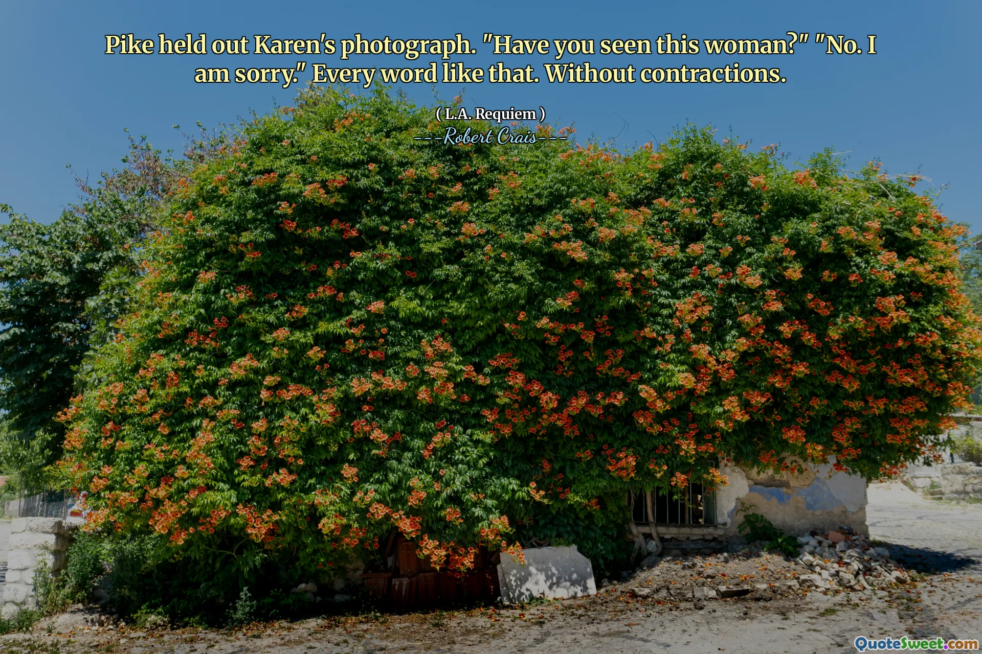 Pike held out Karen's photograph. "Have you seen this woman?" "No. I am sorry." Every word like that. Without contractions.