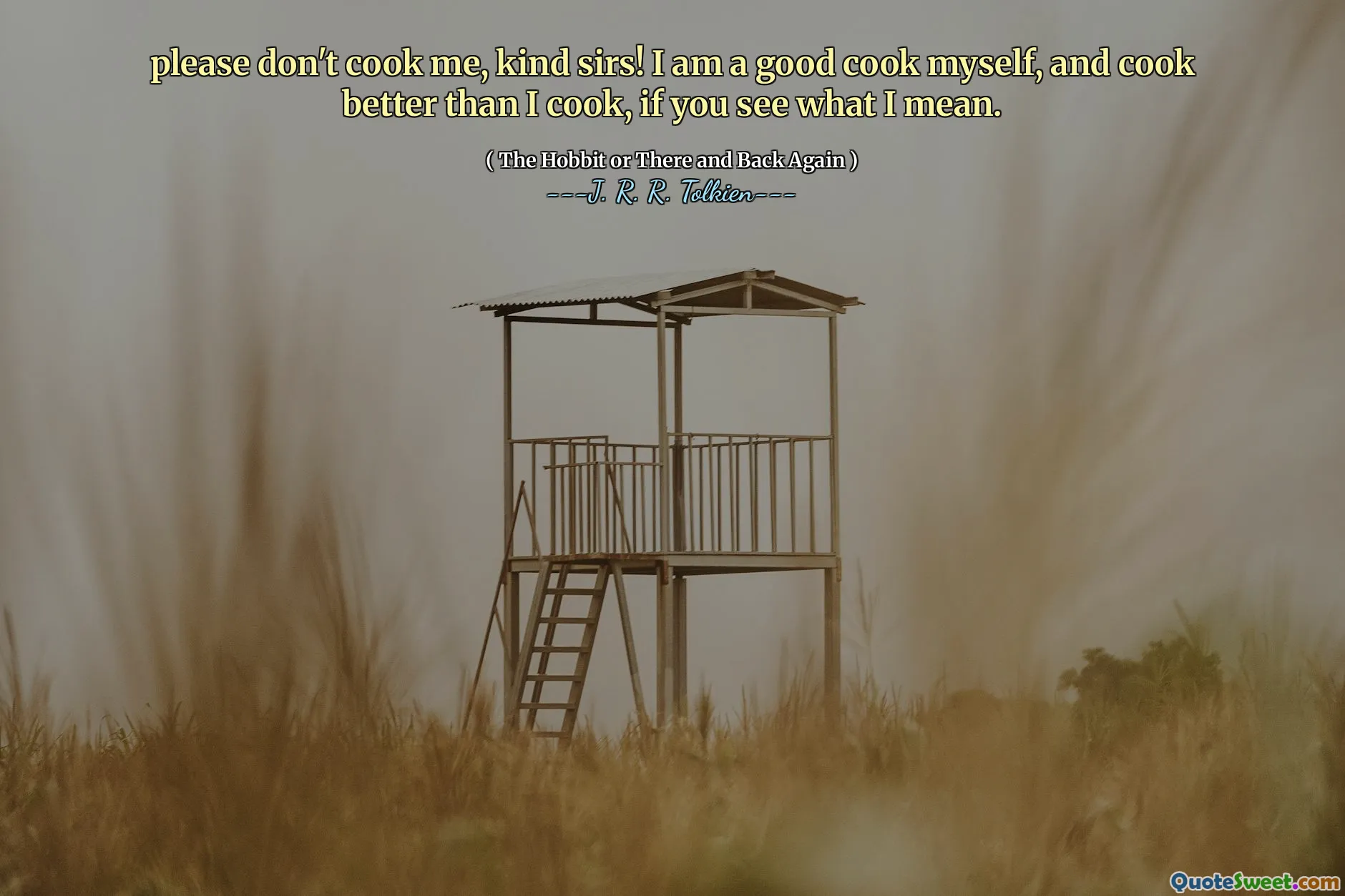 Lütfen beni yemek yapma, nazik efendim! Ben kendim iyi bir aşçıyım ve ne demek istediğimi anlarsanız, yemek pişirdiğimden daha iyi yemek yapıyorum.