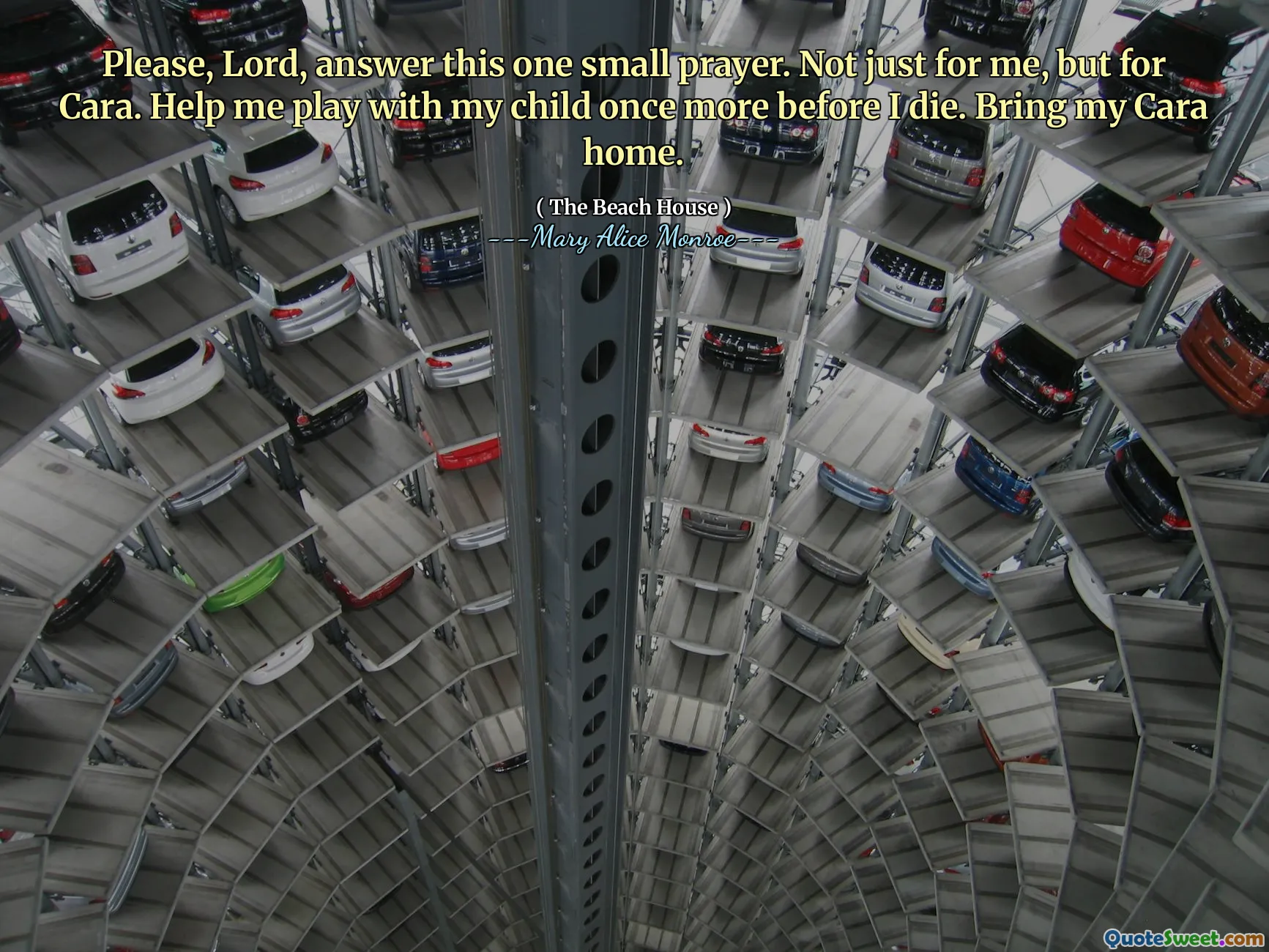 Prosím, Pane, odpovězte na tuto malou modlitbu. Nejen pro mě, ale pro Caru. Pomozte mi hrát se svým dítětem ještě jednou, než zemřu. Přiveďte mou Caru domů.
