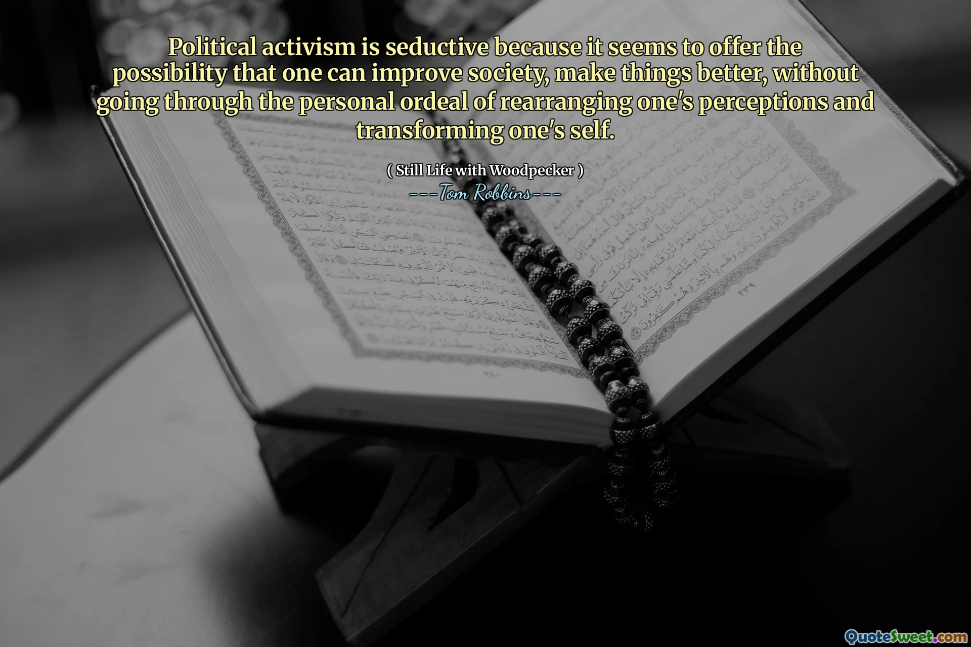 Political activism is seductive because it seems to offer the possibility that one can improve society, make things better, without going through the personal ordeal of rearranging one's perceptions and transforming one's self.